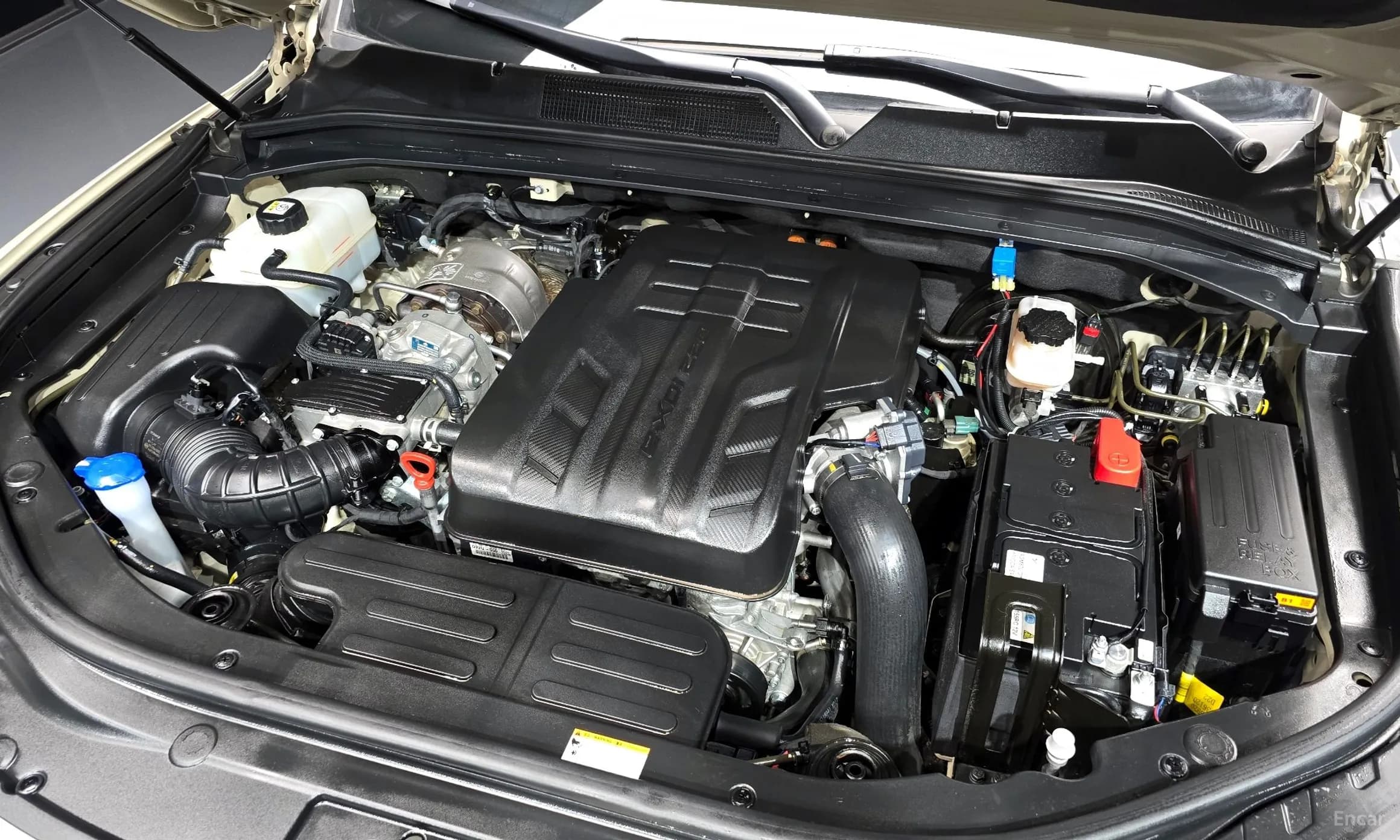 Rexton Sports