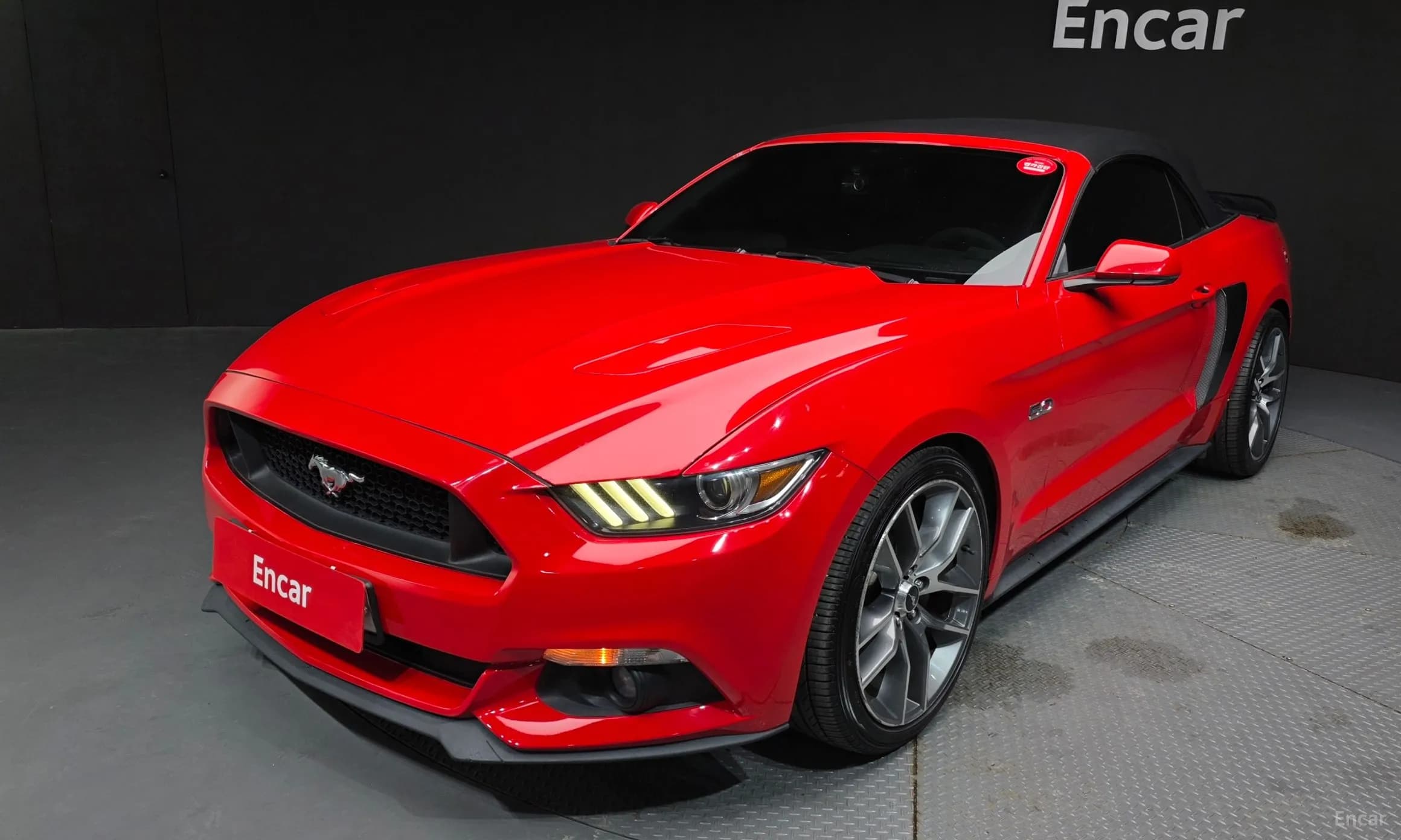 Mustang