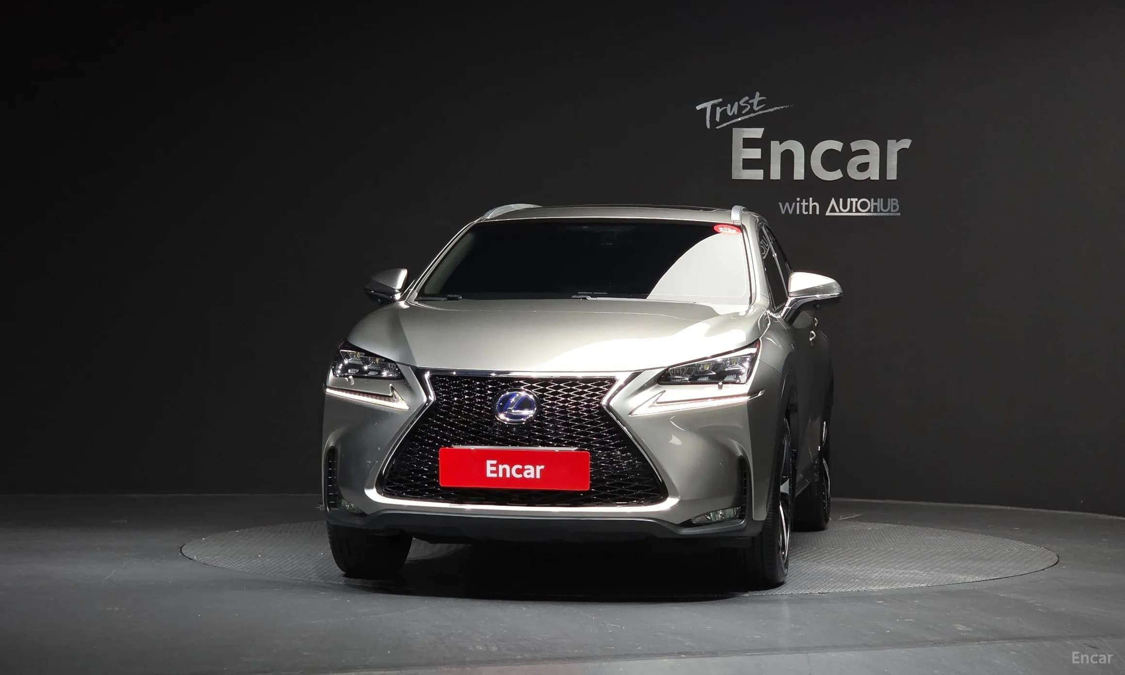 NX300h