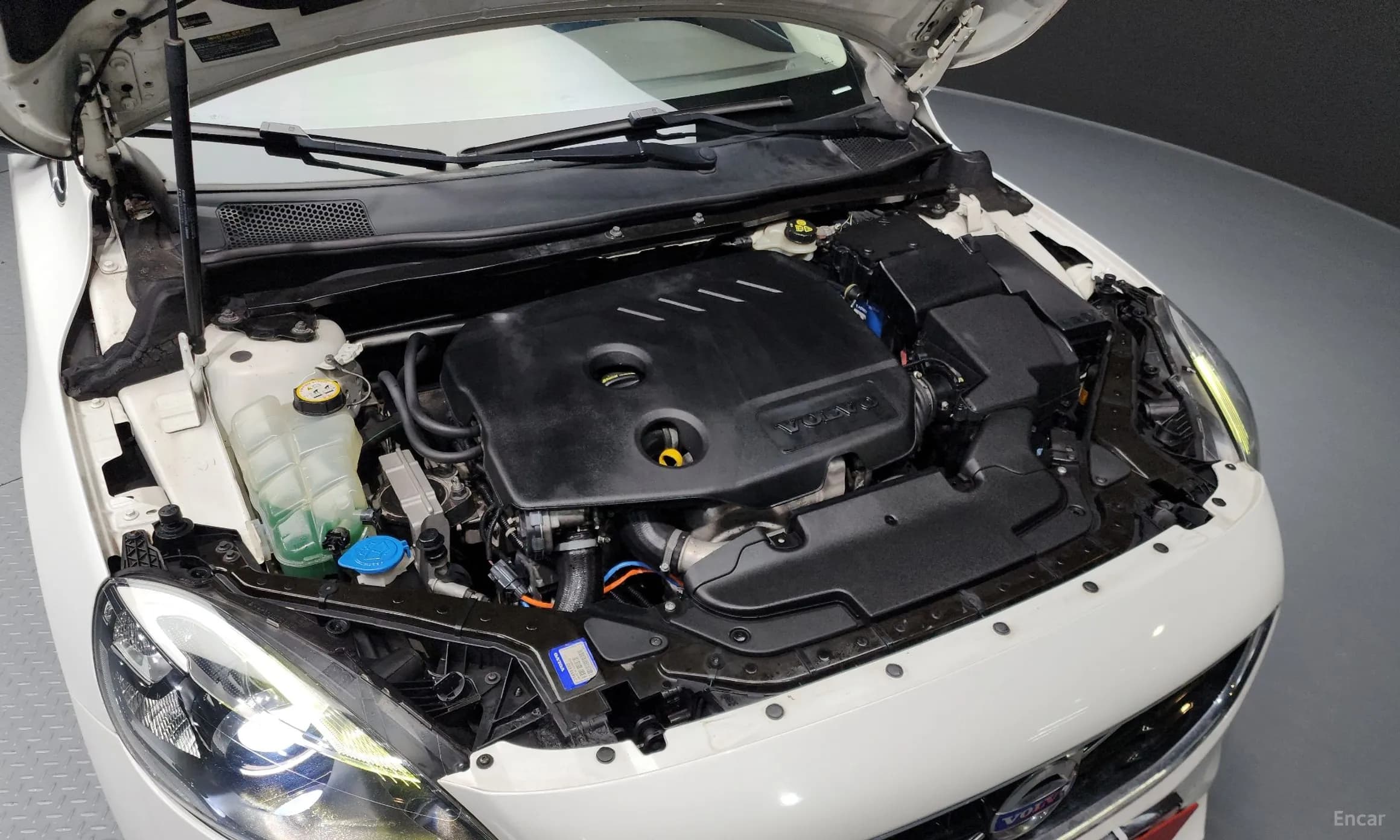 V40