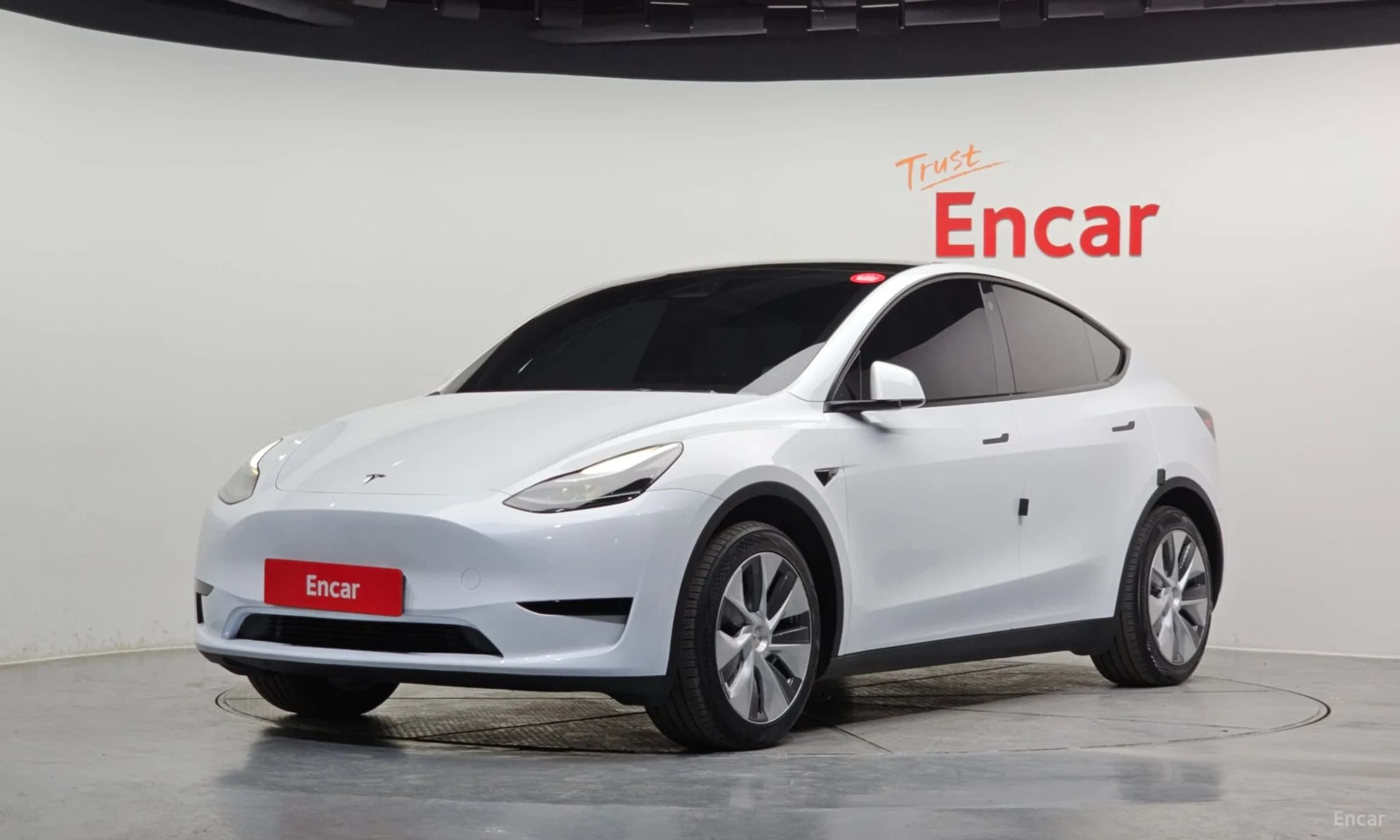 Model Y