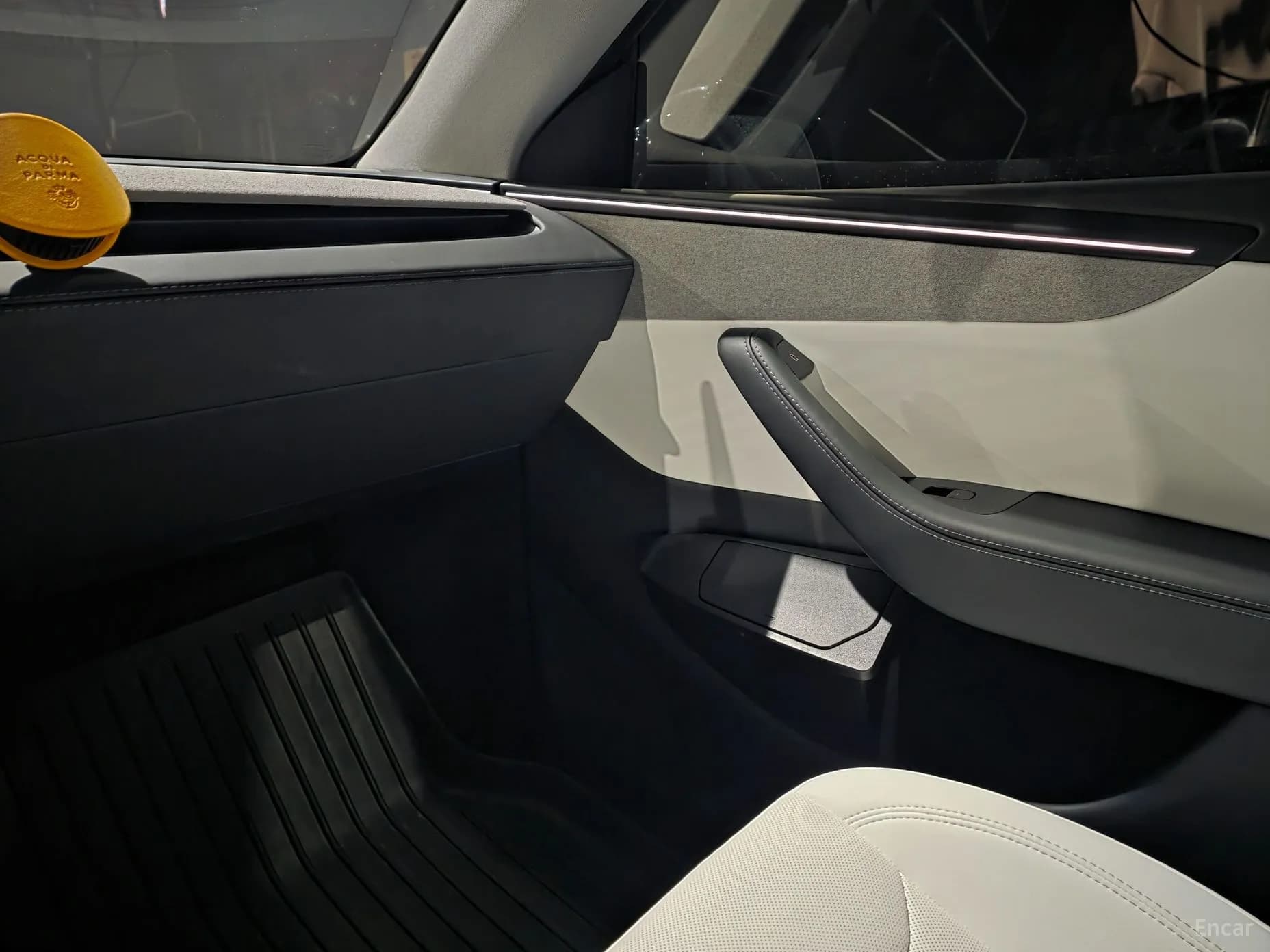 Model Y