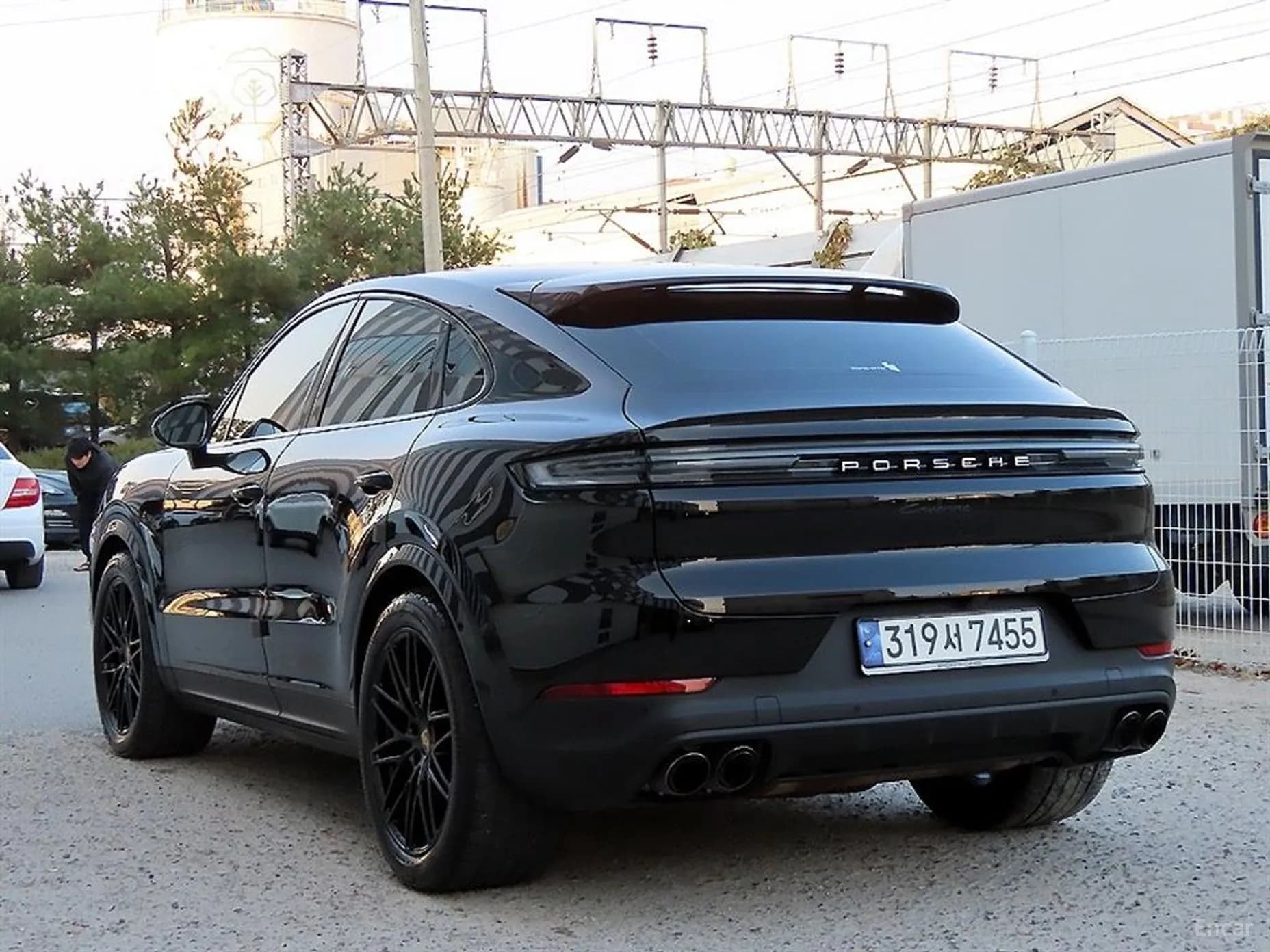 Cayenne (PO536)
