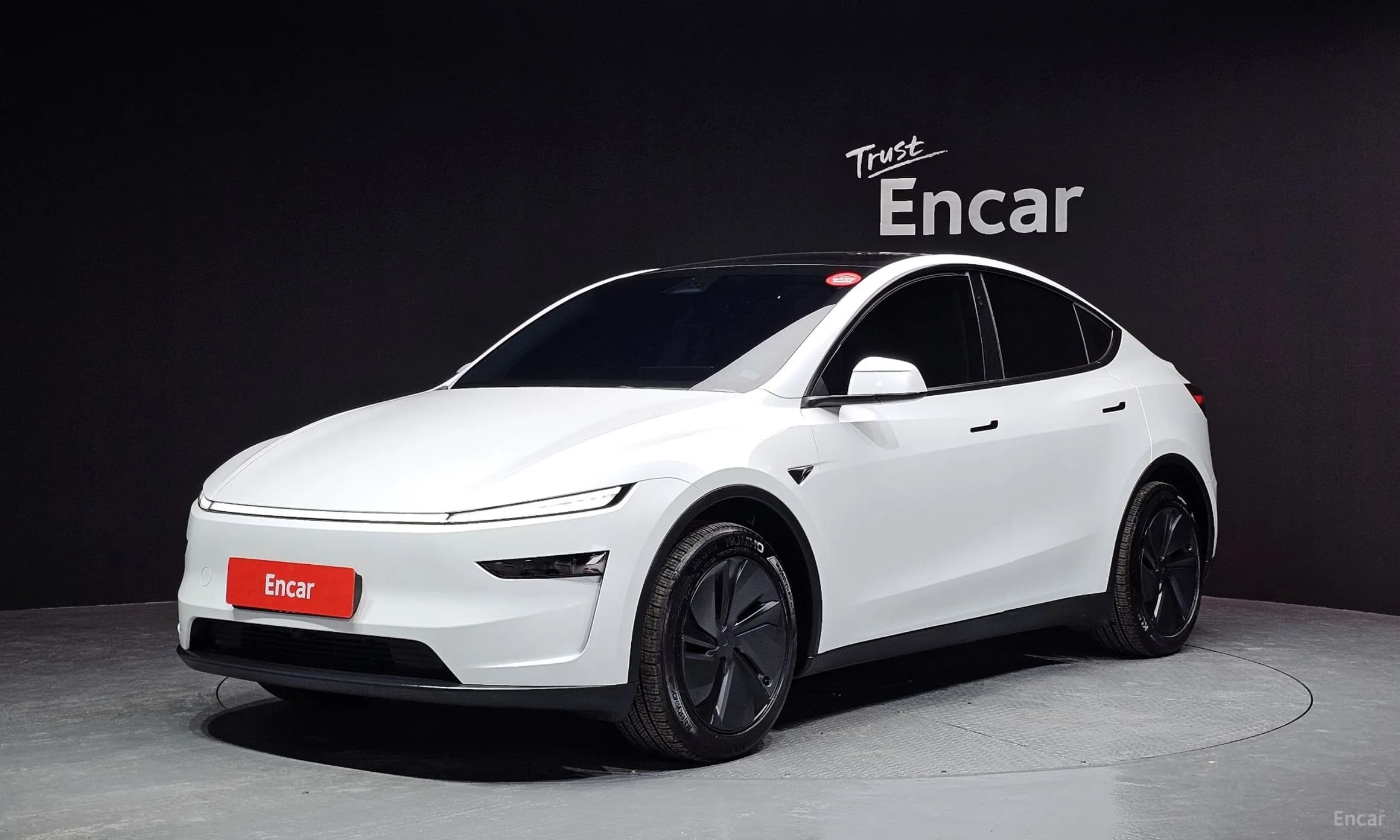 Model Y