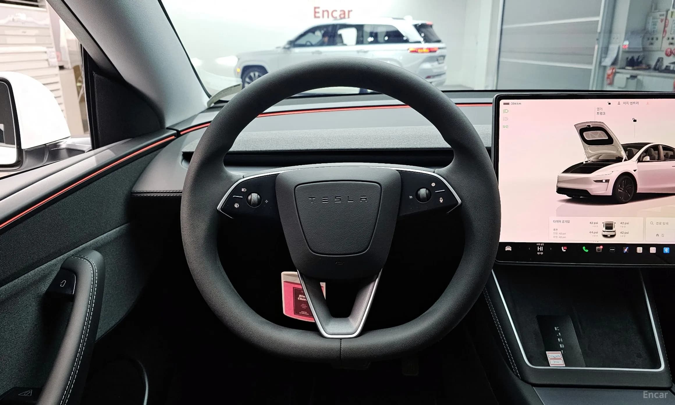 Model Y
