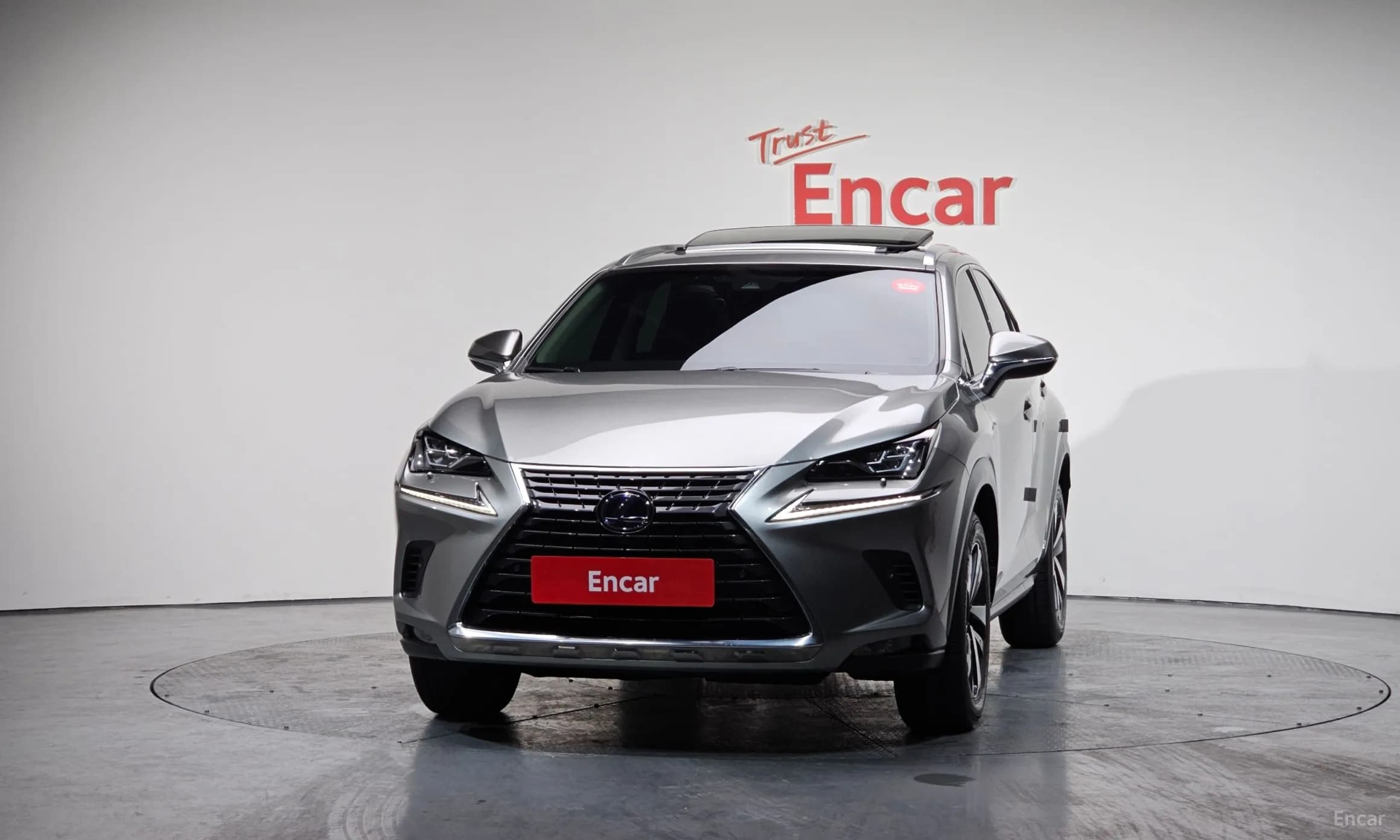 NX300h