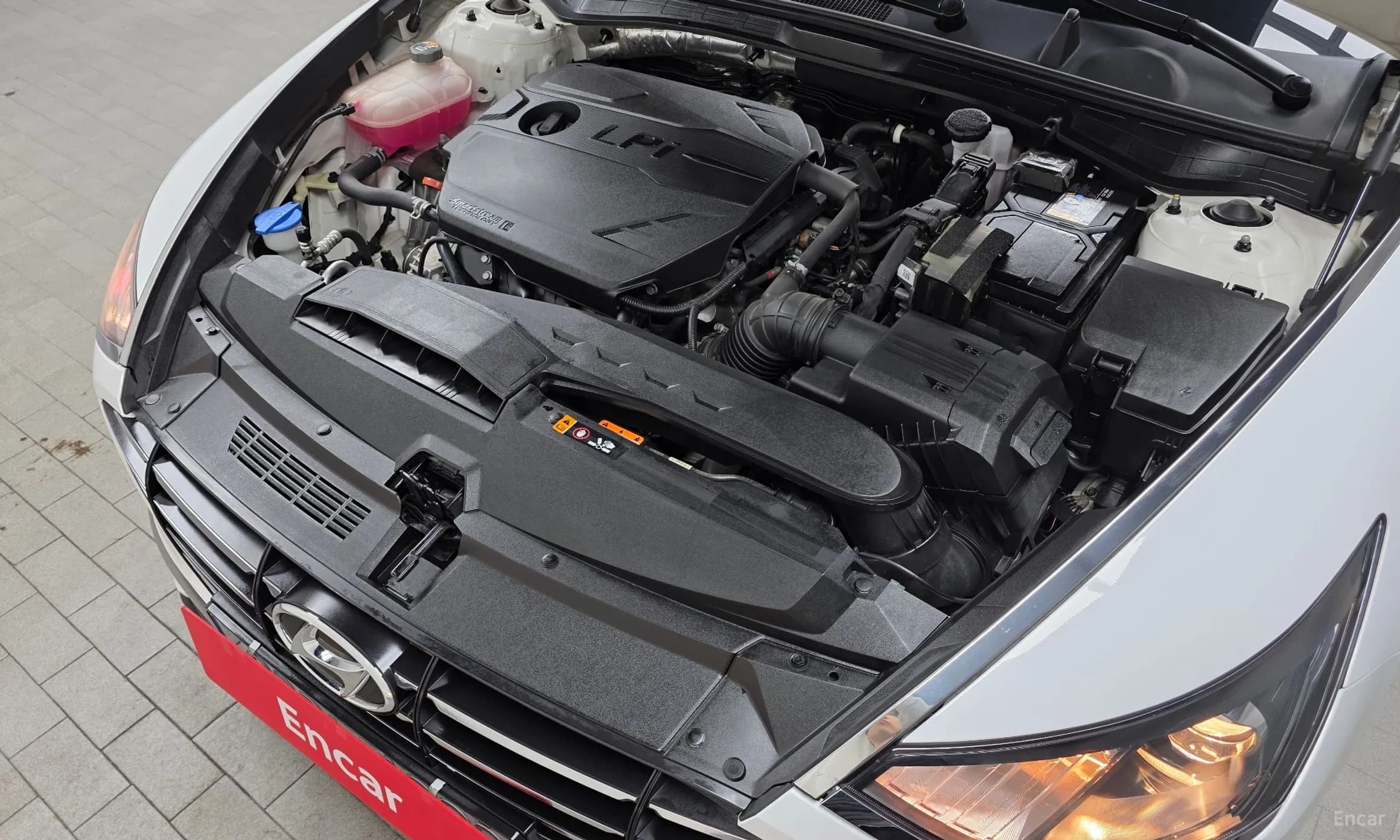 Sonata (DN8)