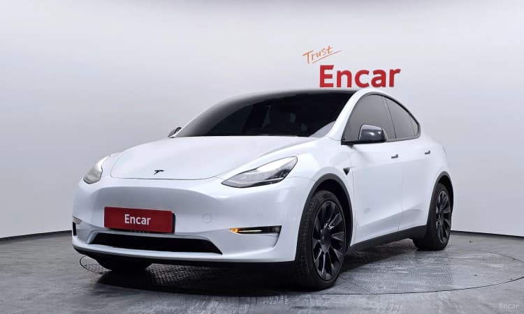 Model Y