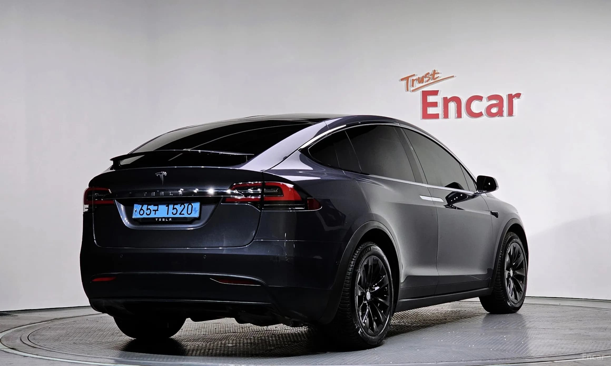 Model X