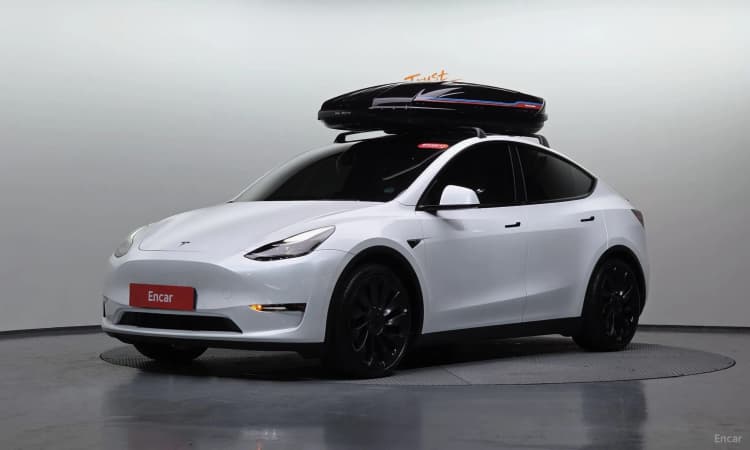 Model Y