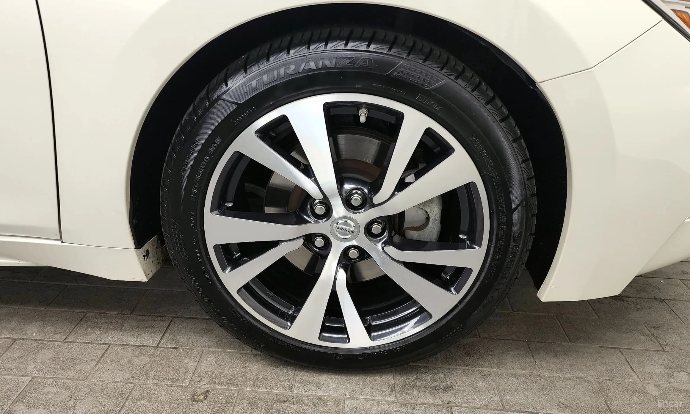 Maxima (A36)