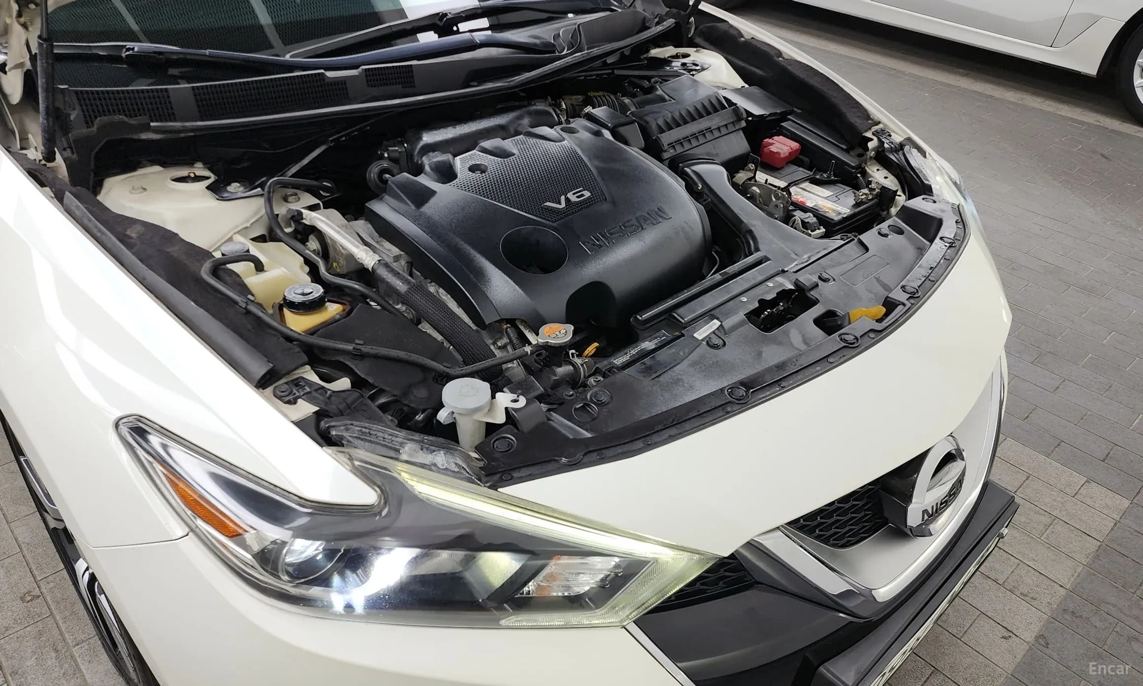 Maxima (A36)
