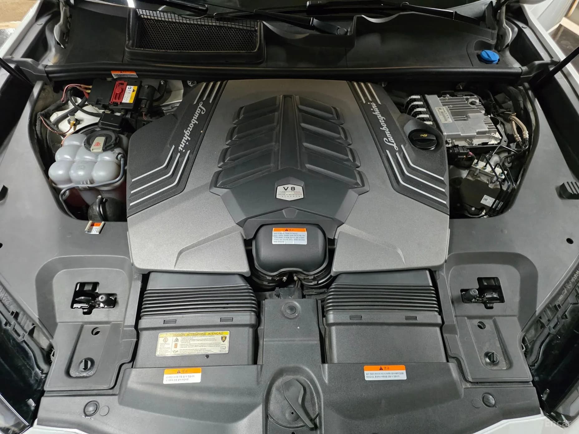 Urus