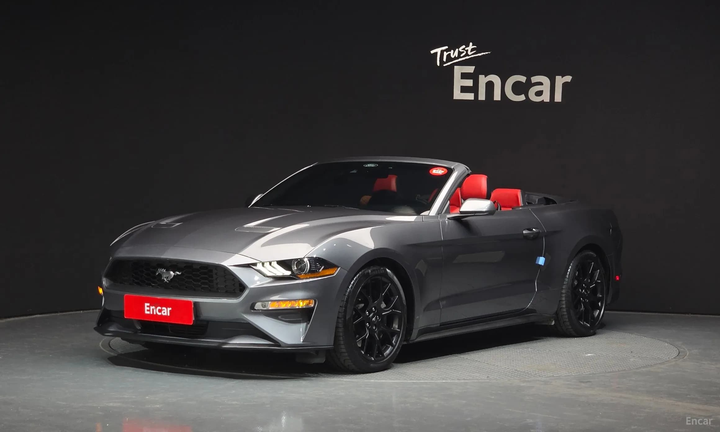 Mustang