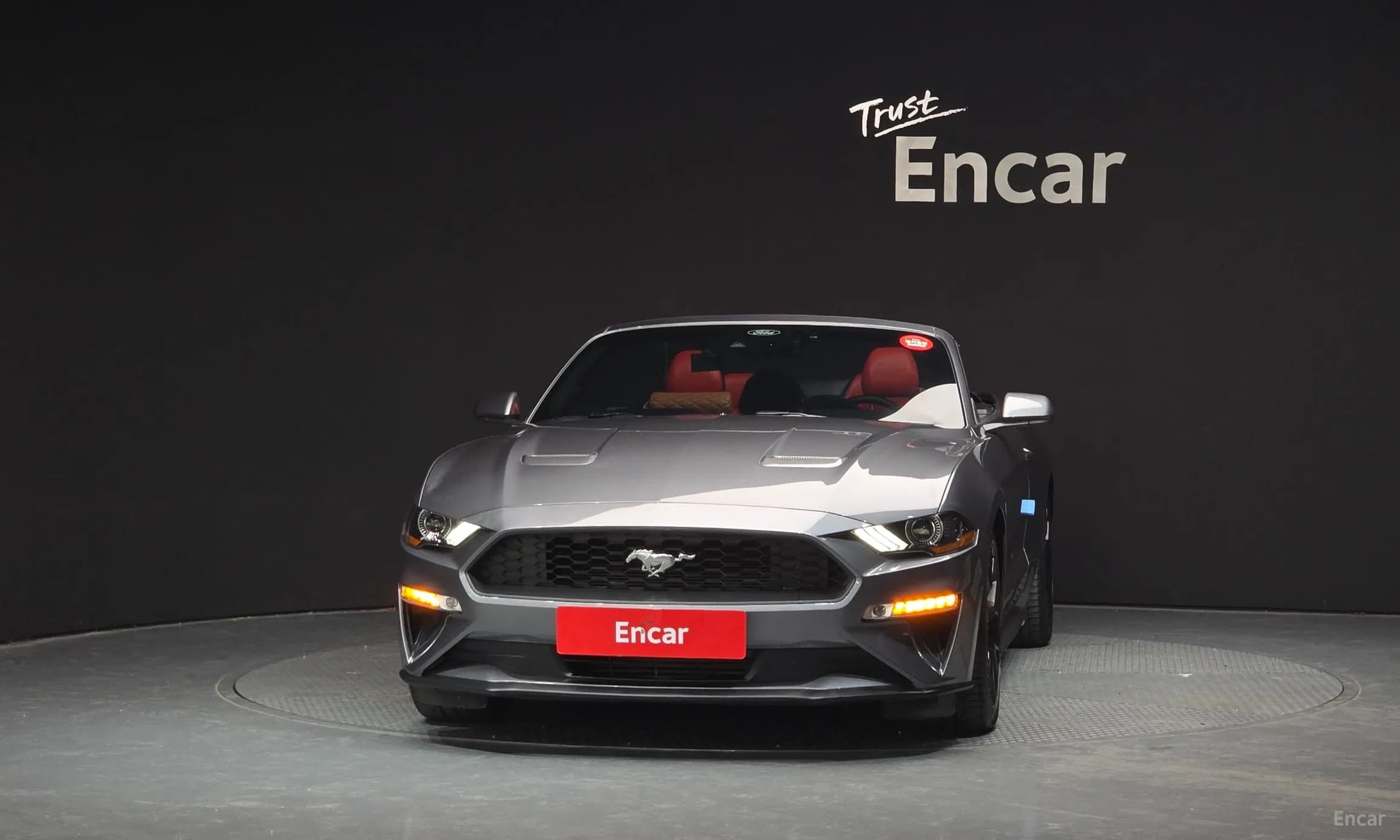 Mustang