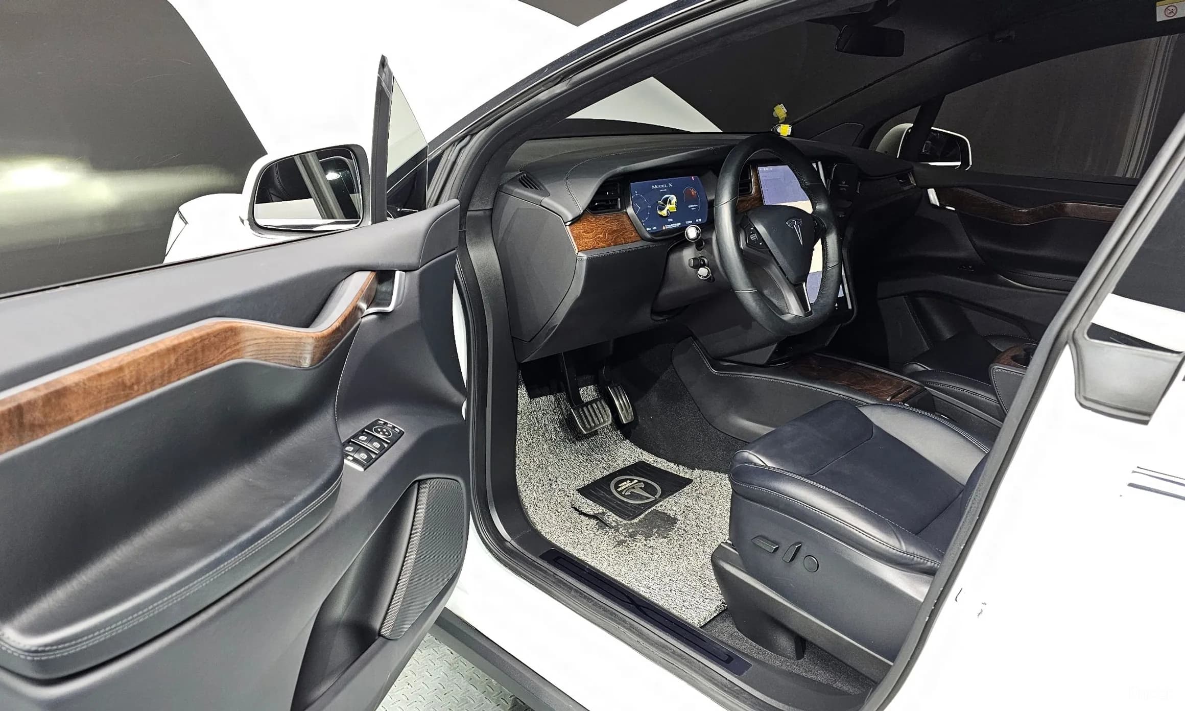 Model X