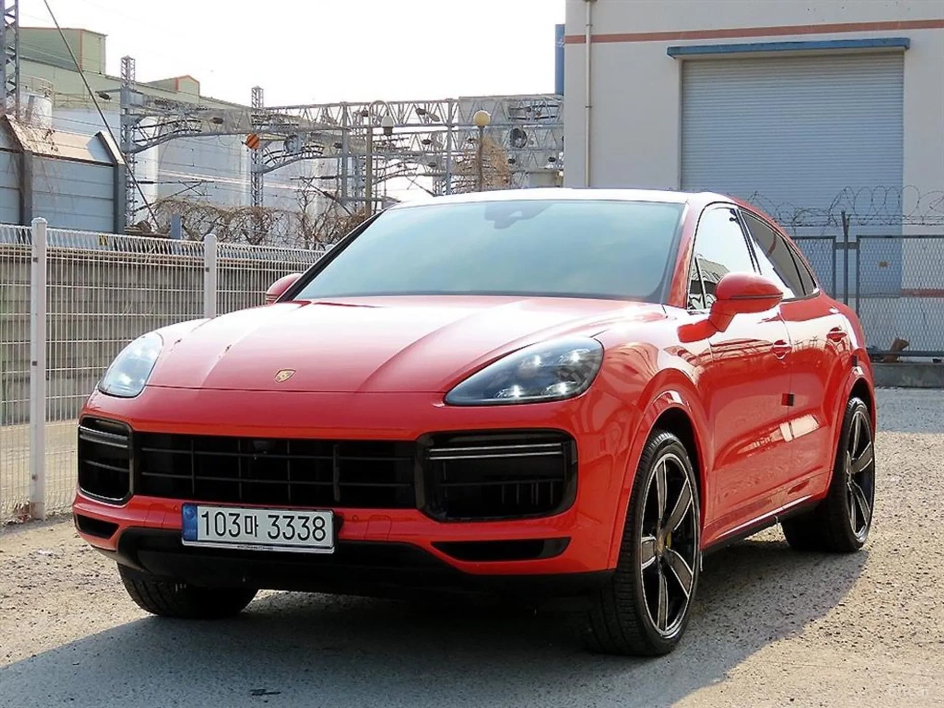 Cayenne (PO536)