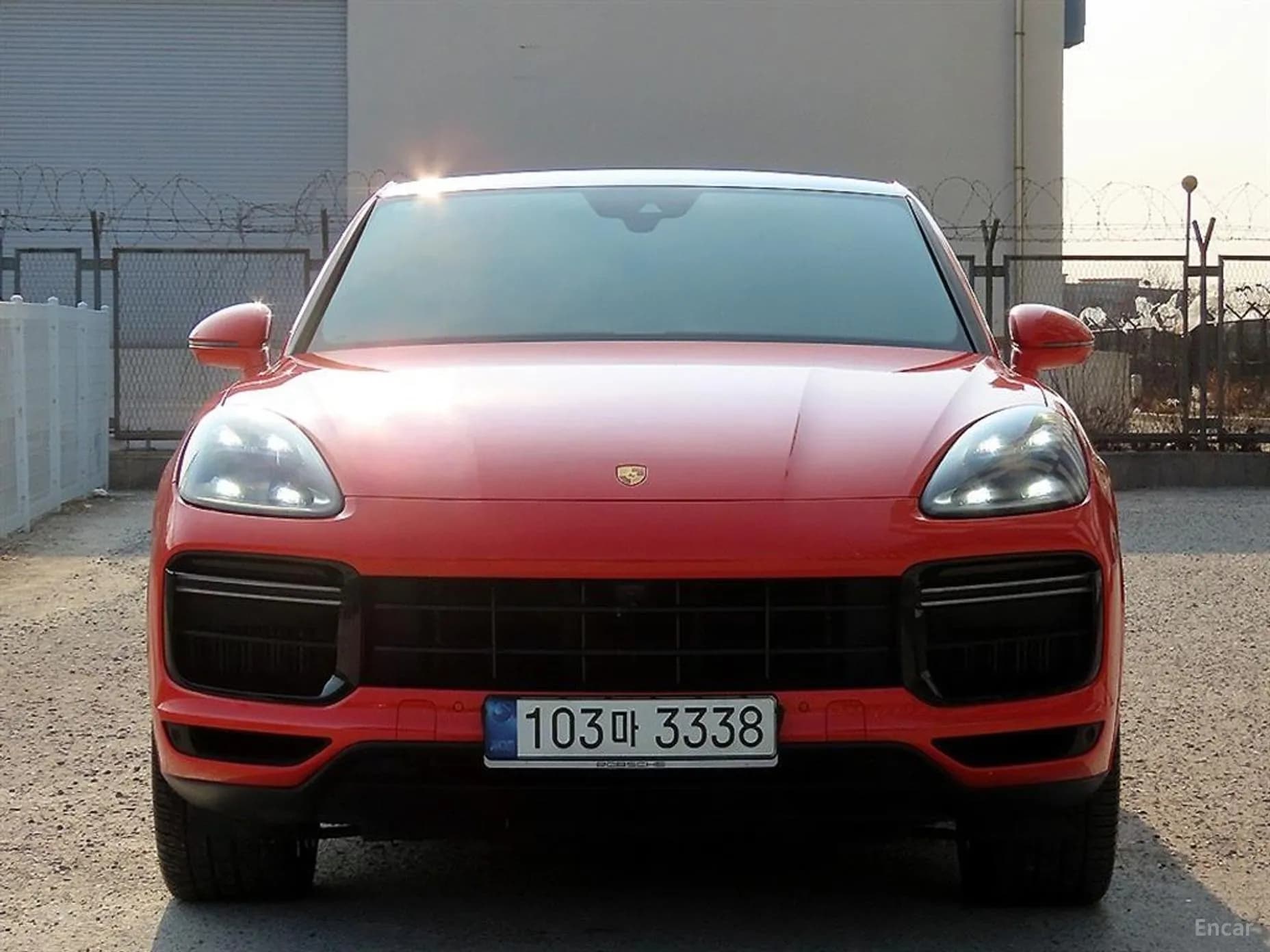 Cayenne (PO536)