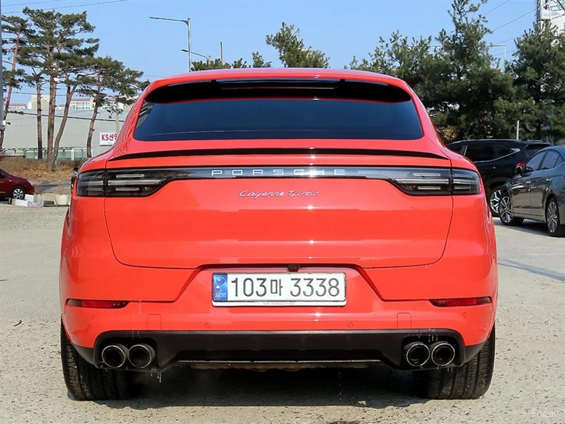 Cayenne (PO536)