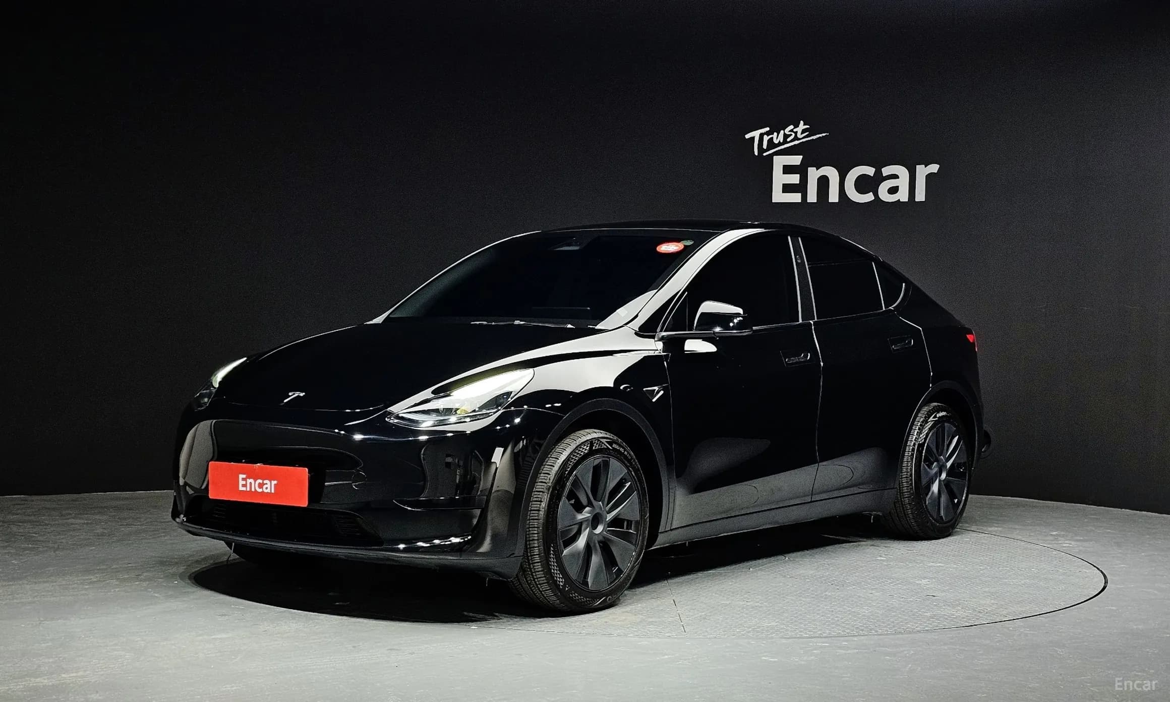Model Y