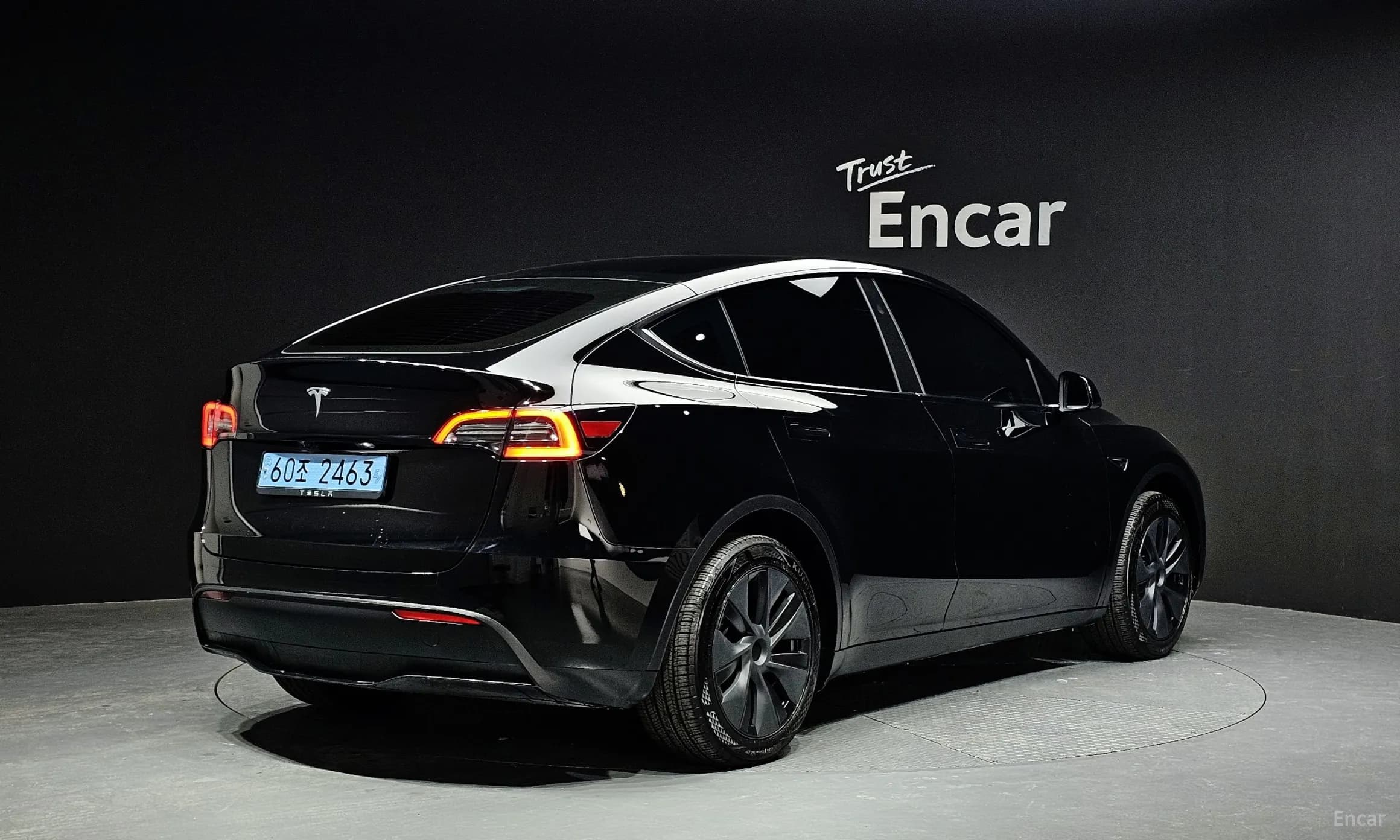 Model Y