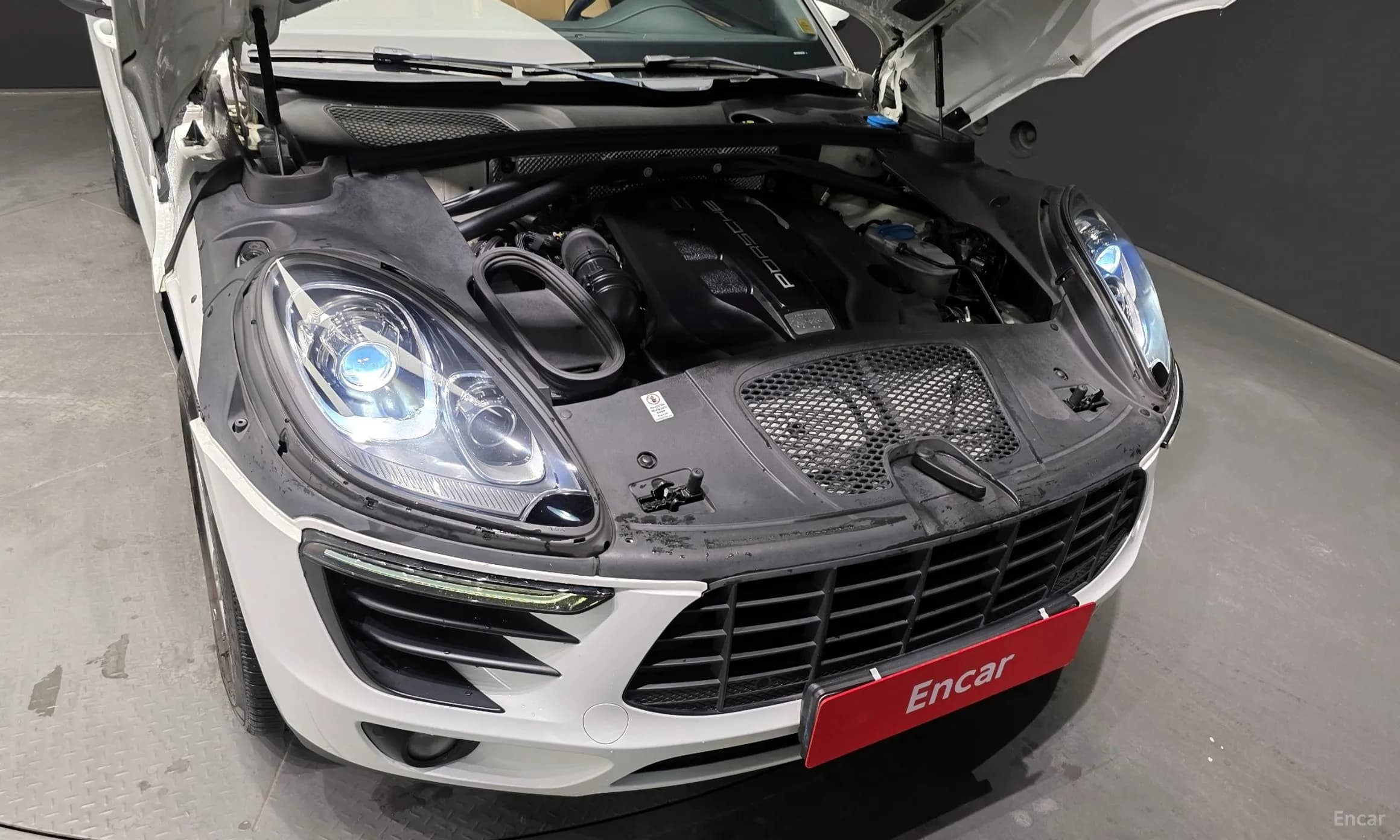 Macan