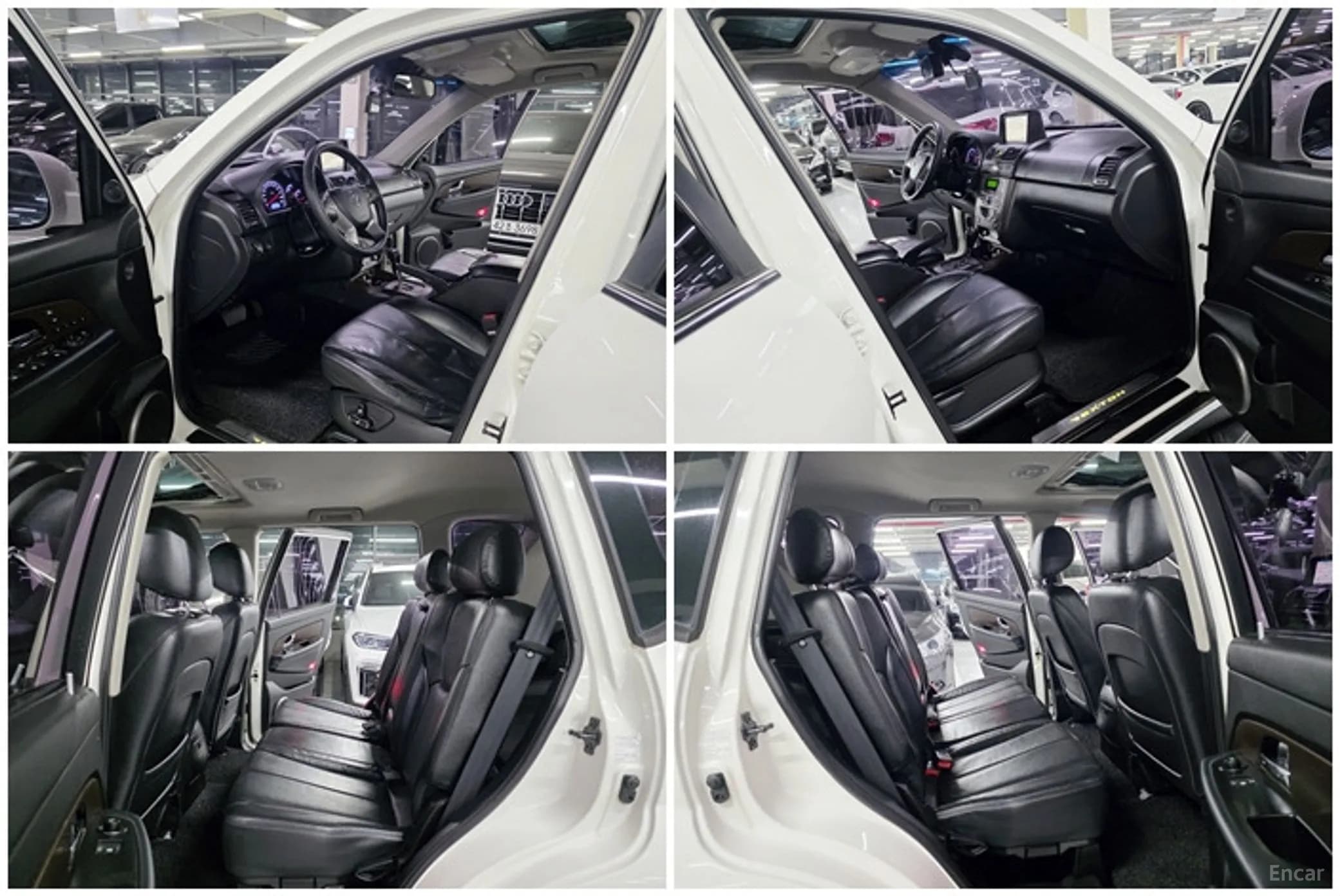 Rexton W