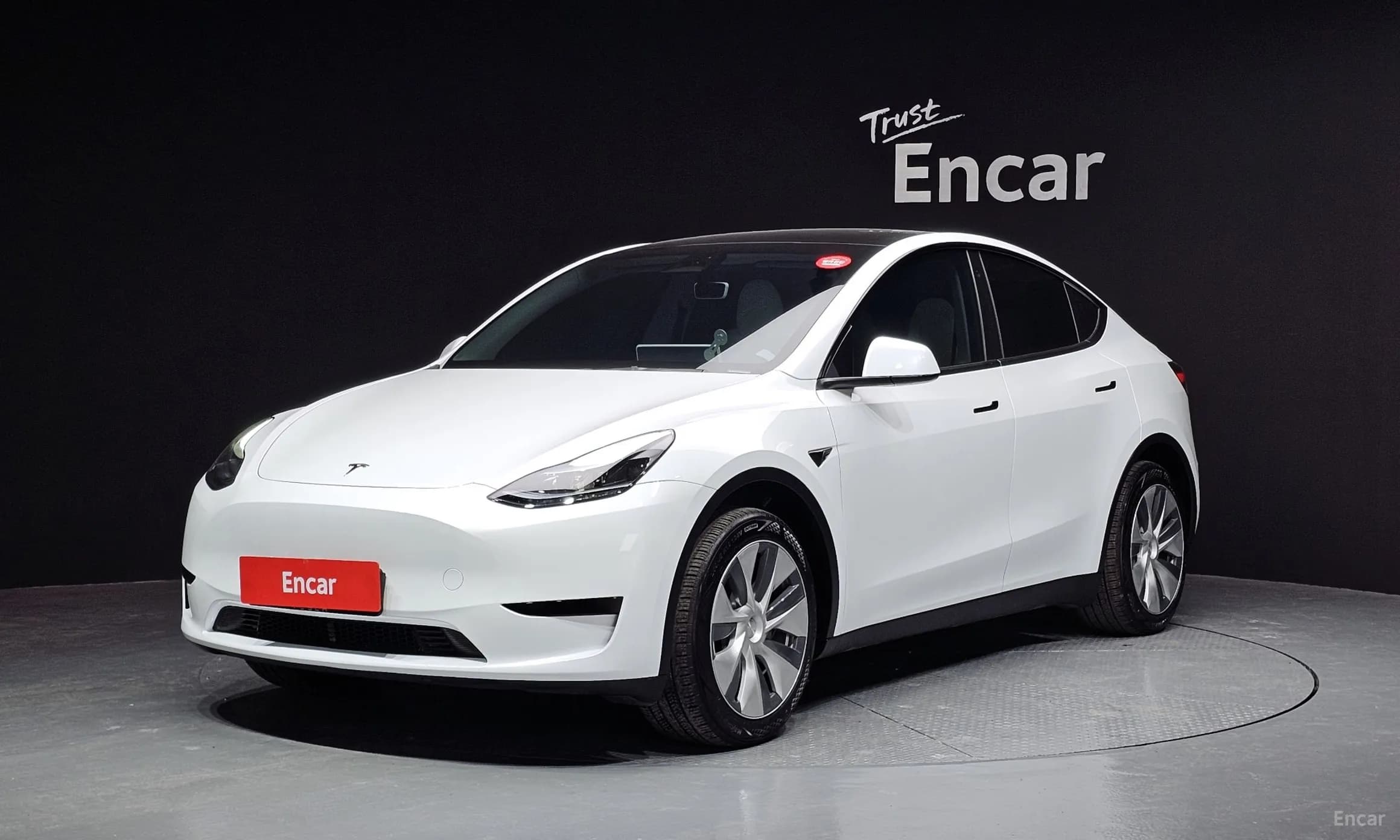 Model Y