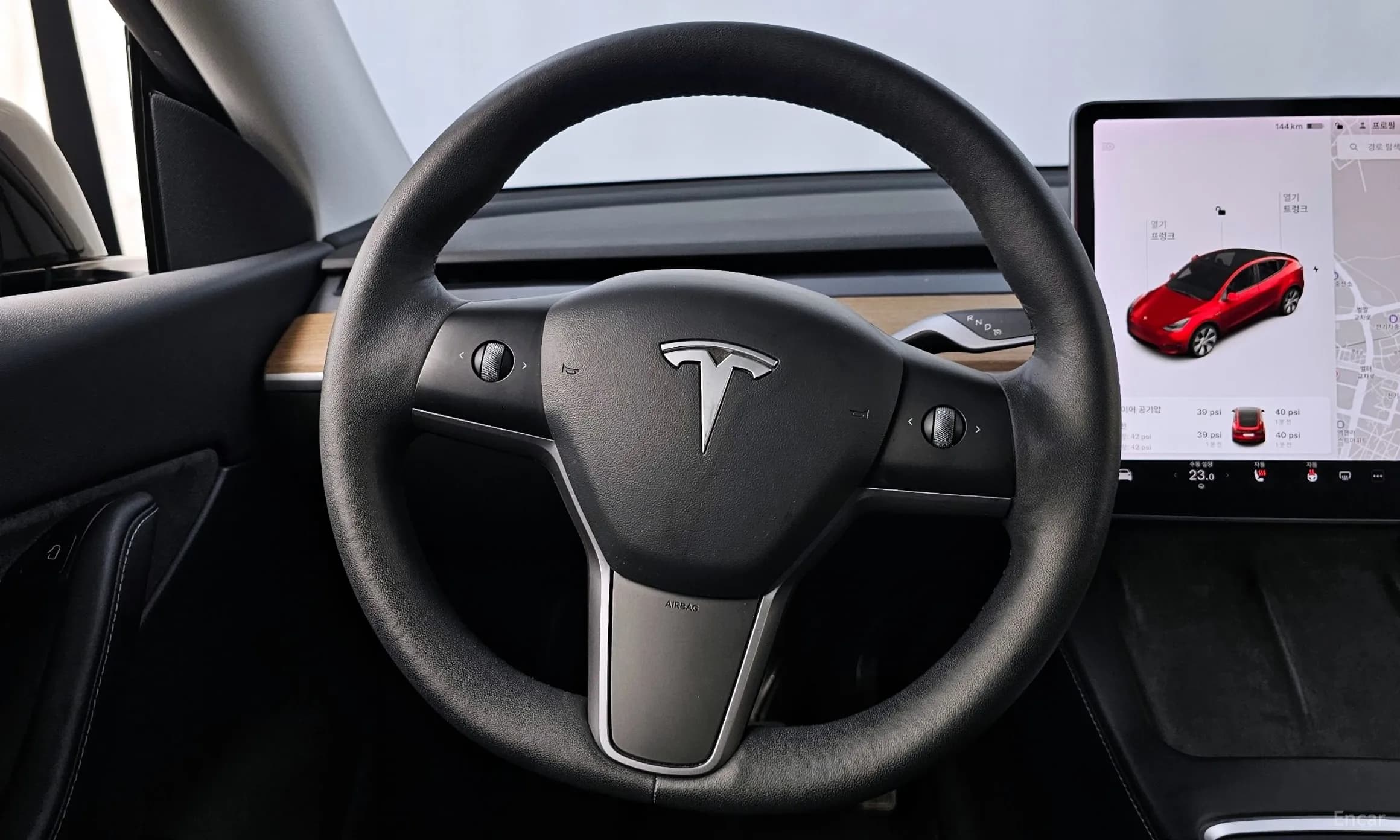 Model Y