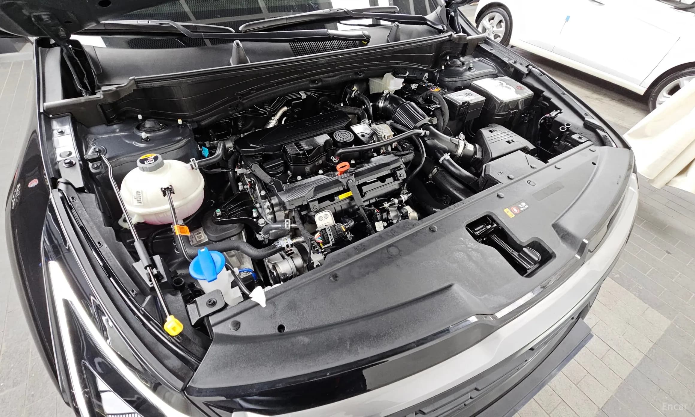 Sportage 5th Generation