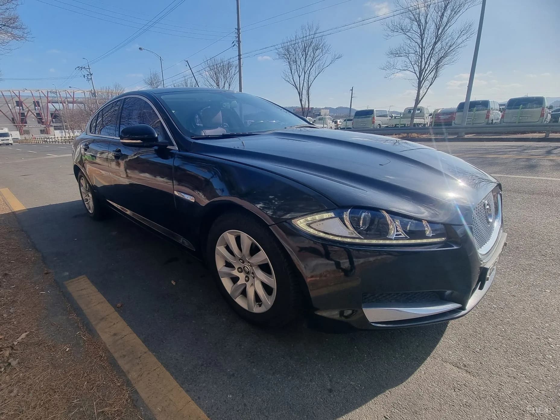New XF