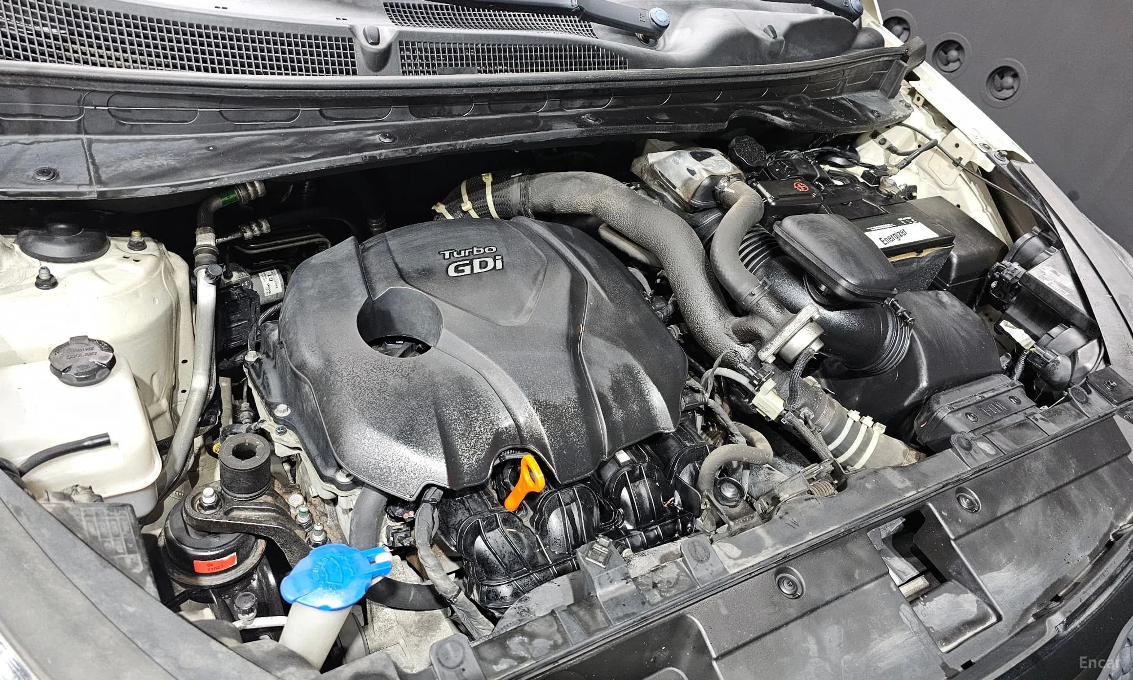 Sportage R