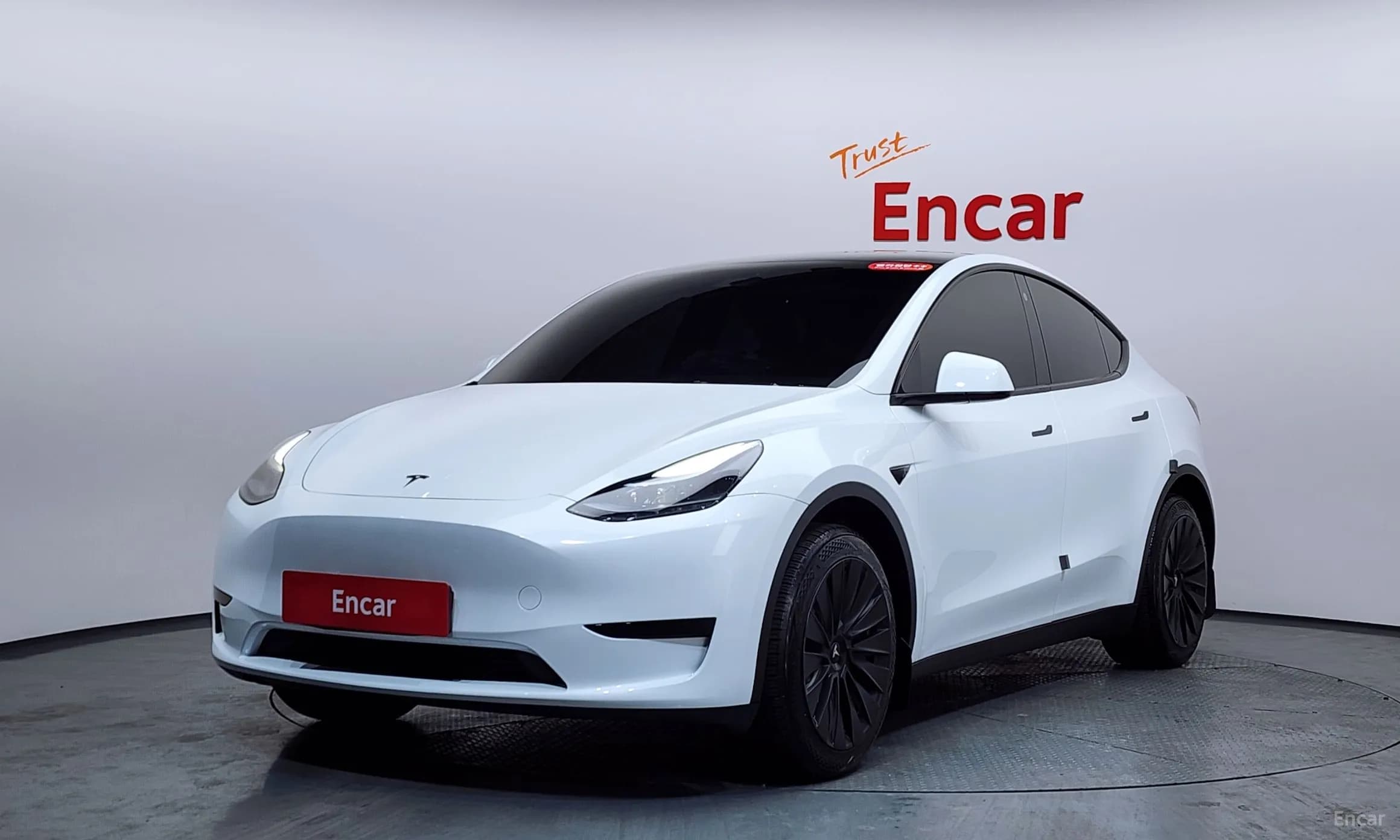 Model Y