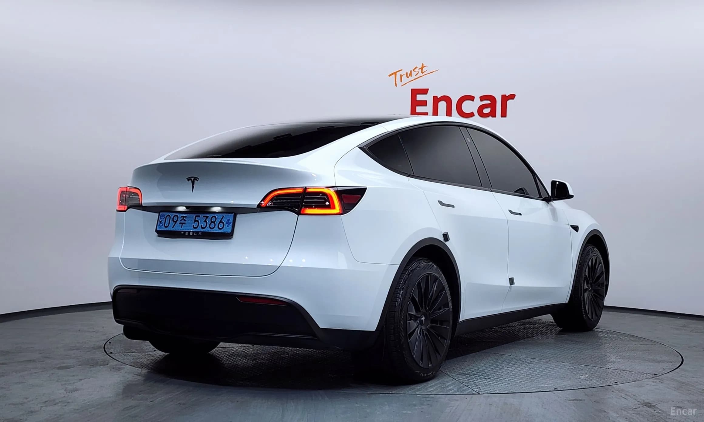 Model Y