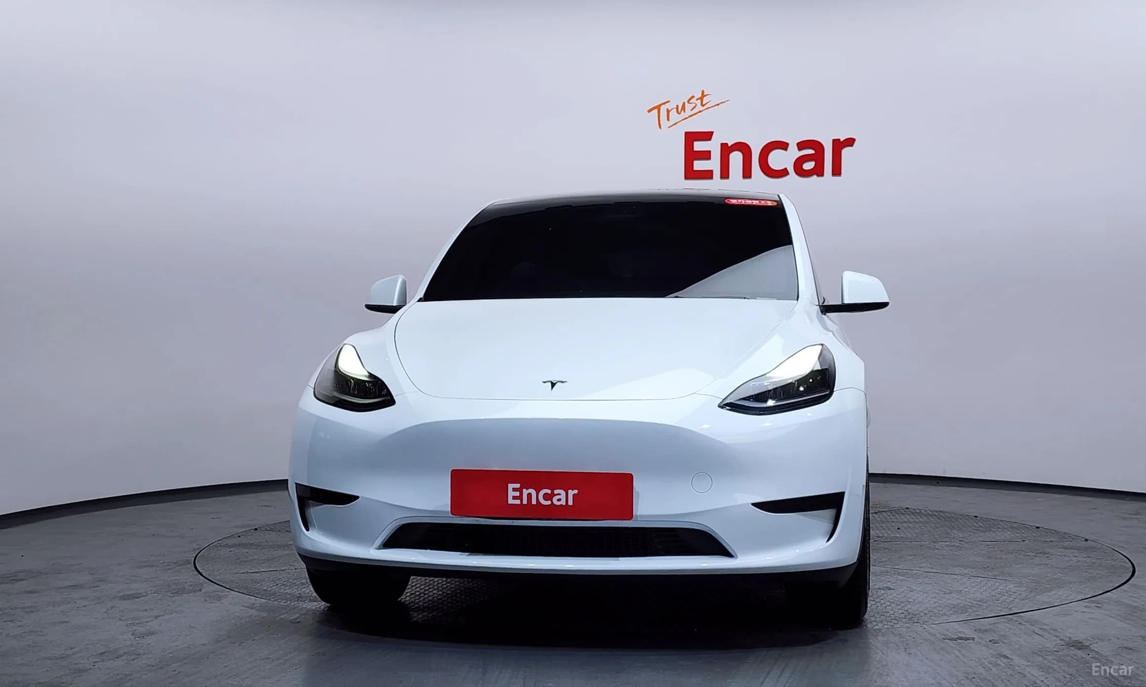 Model Y