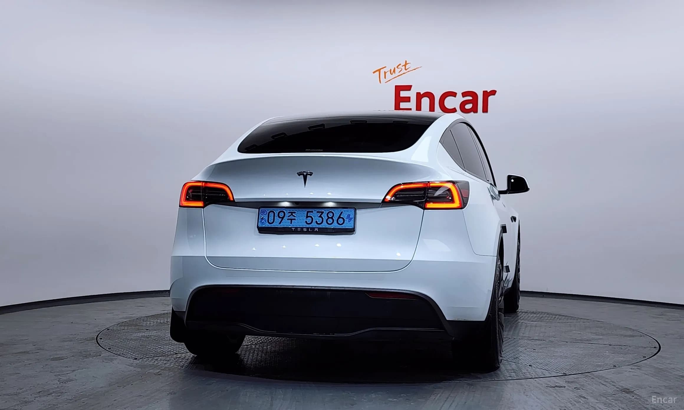 Model Y