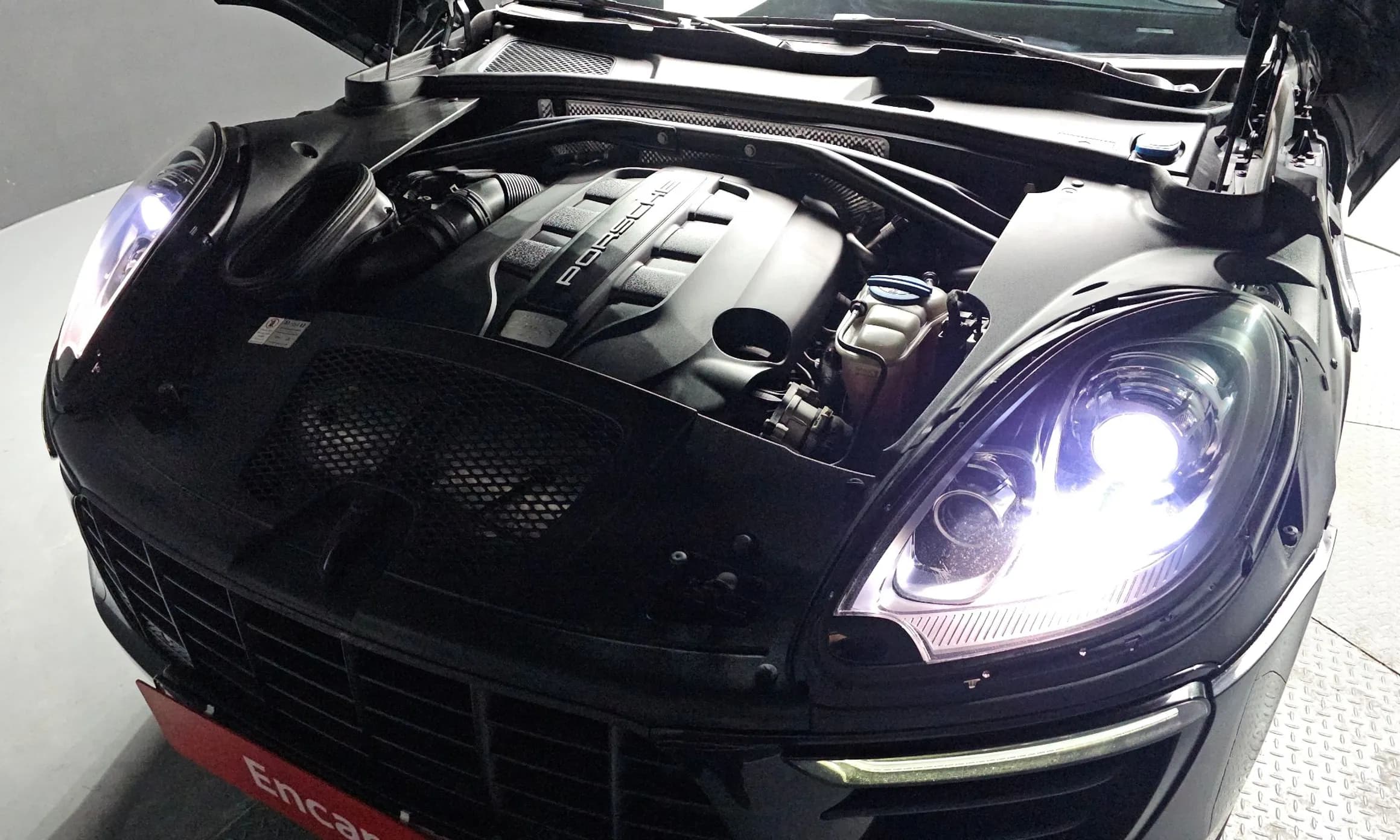 Macan