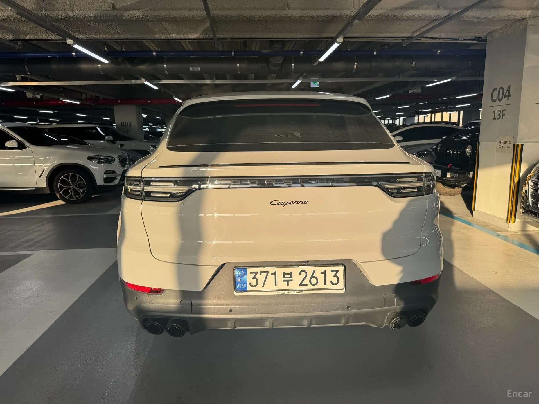 Cayenne (PO536)