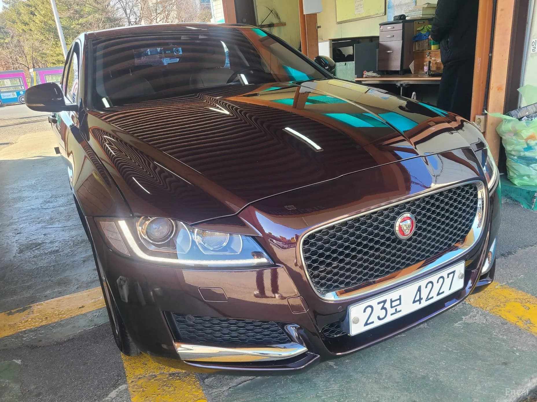 XF (x260)
