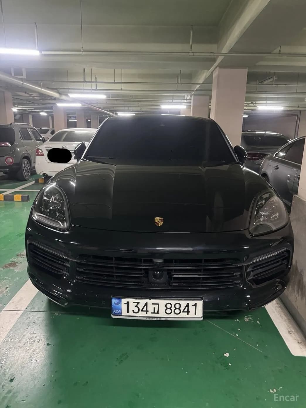 Cayenne (PO536)