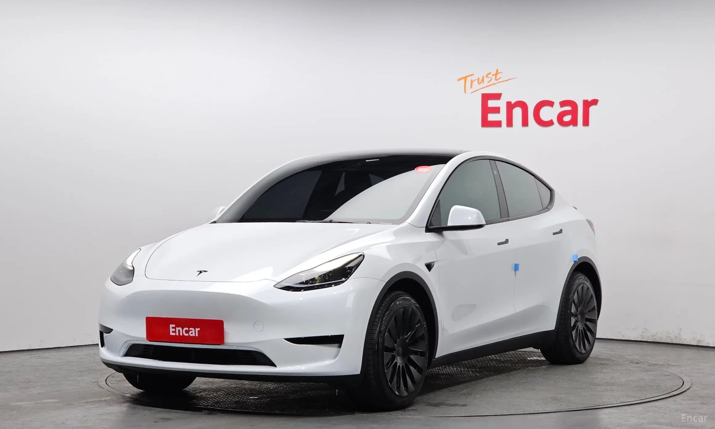 Model Y
