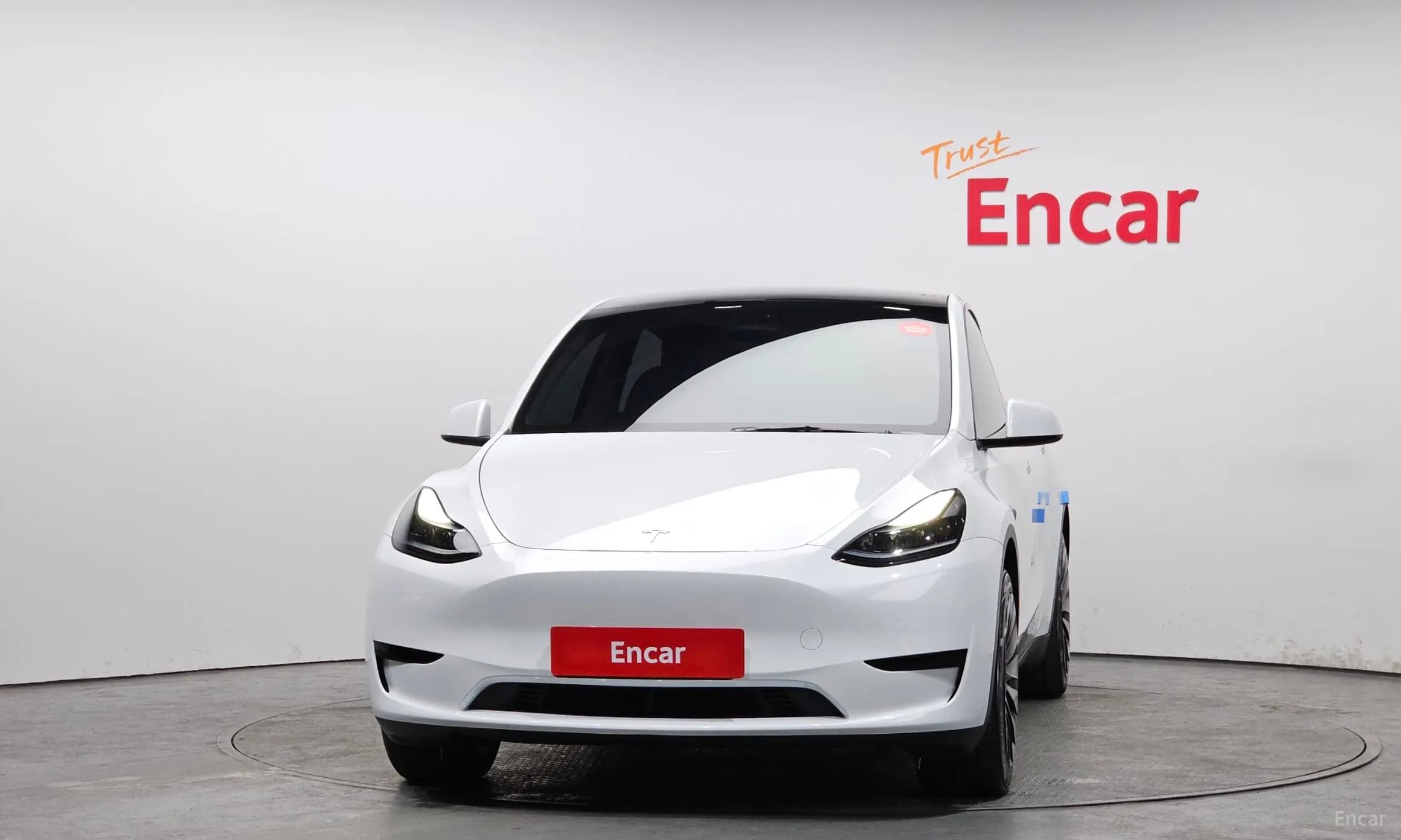 Model Y