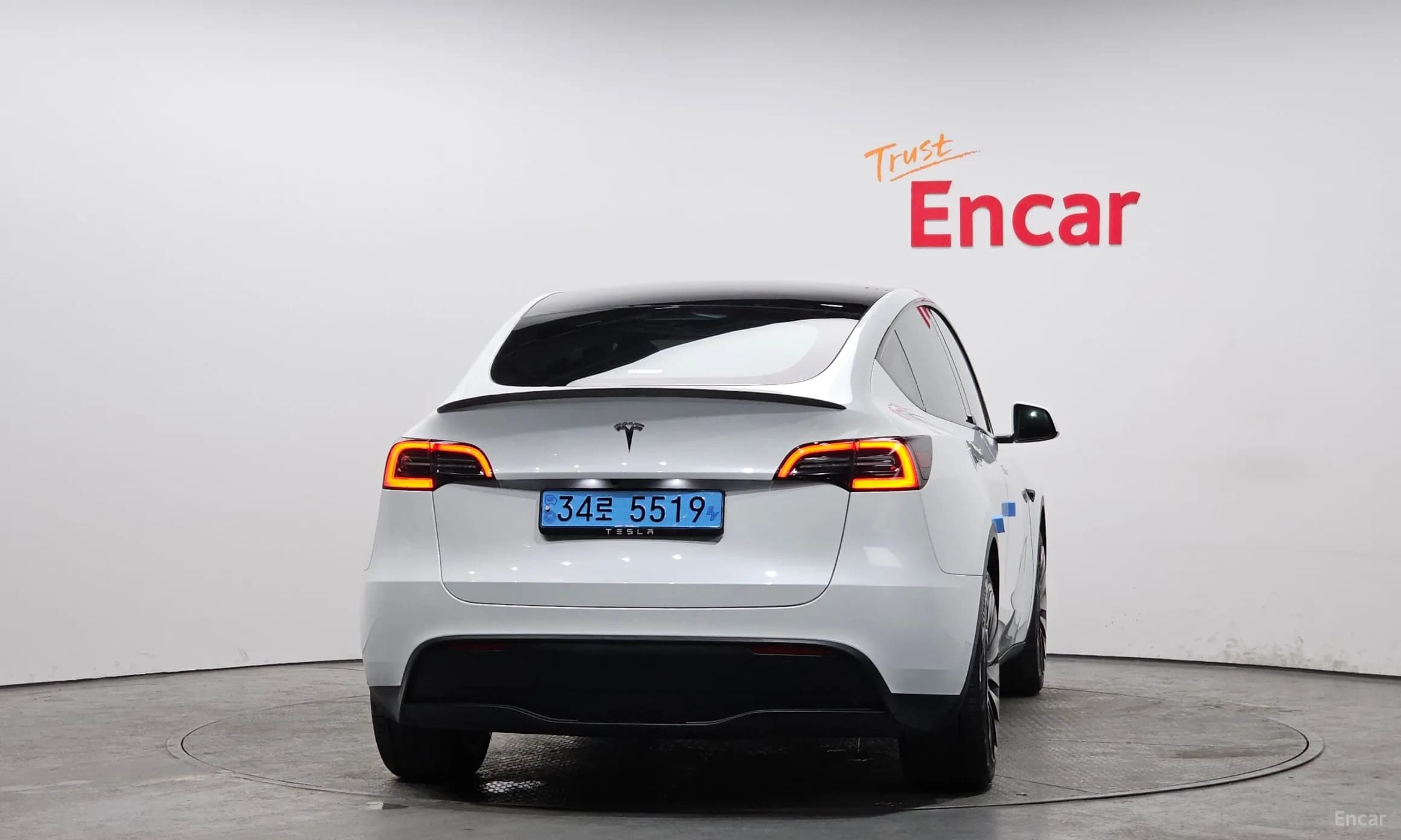 Model Y