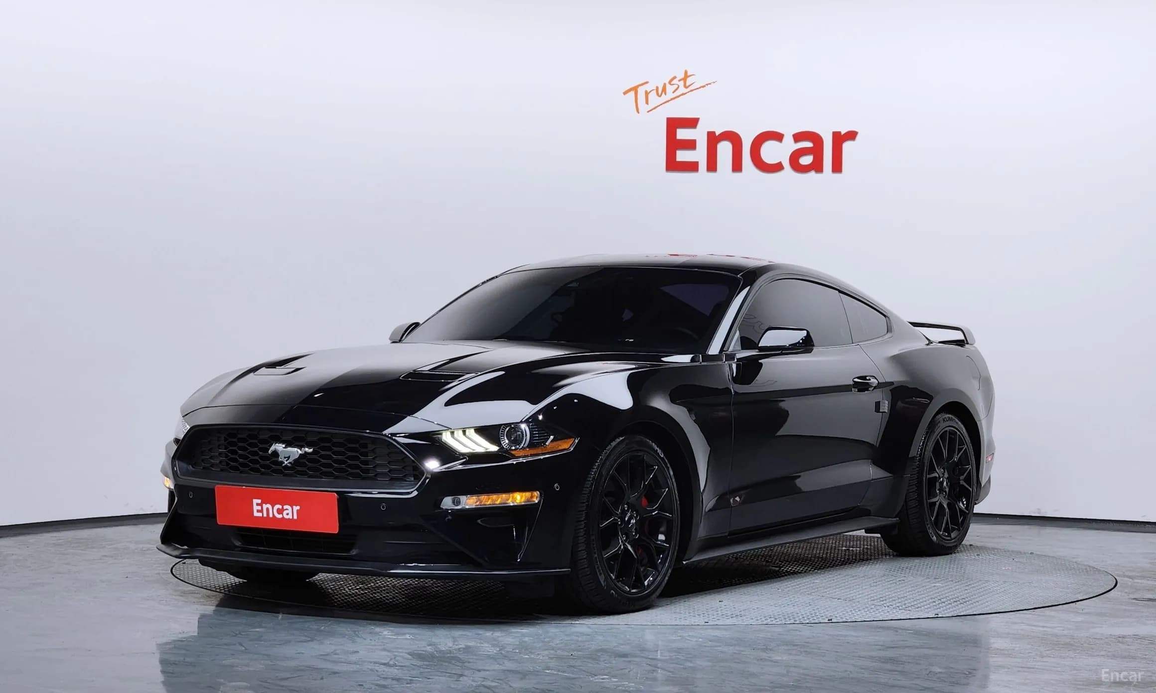 Mustang