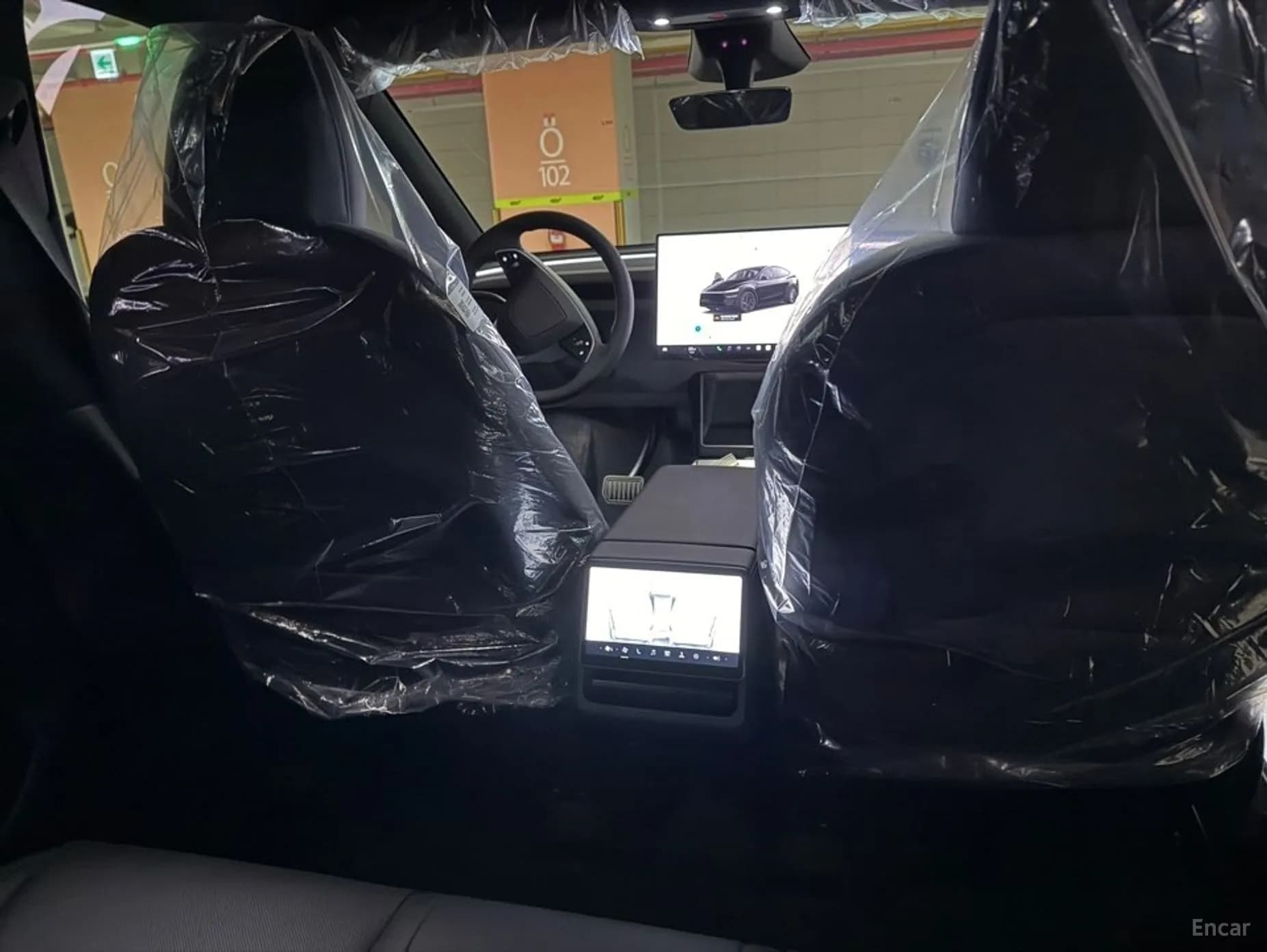 Model Y