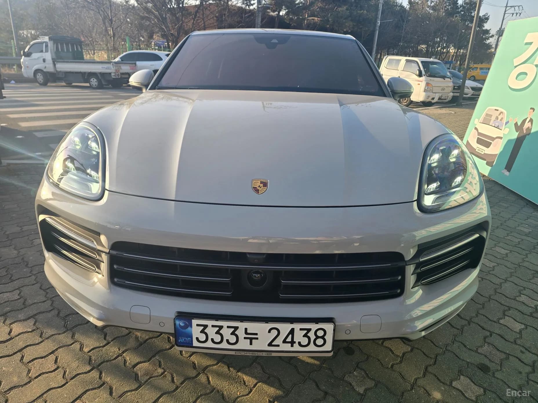 Cayenne (PO536)