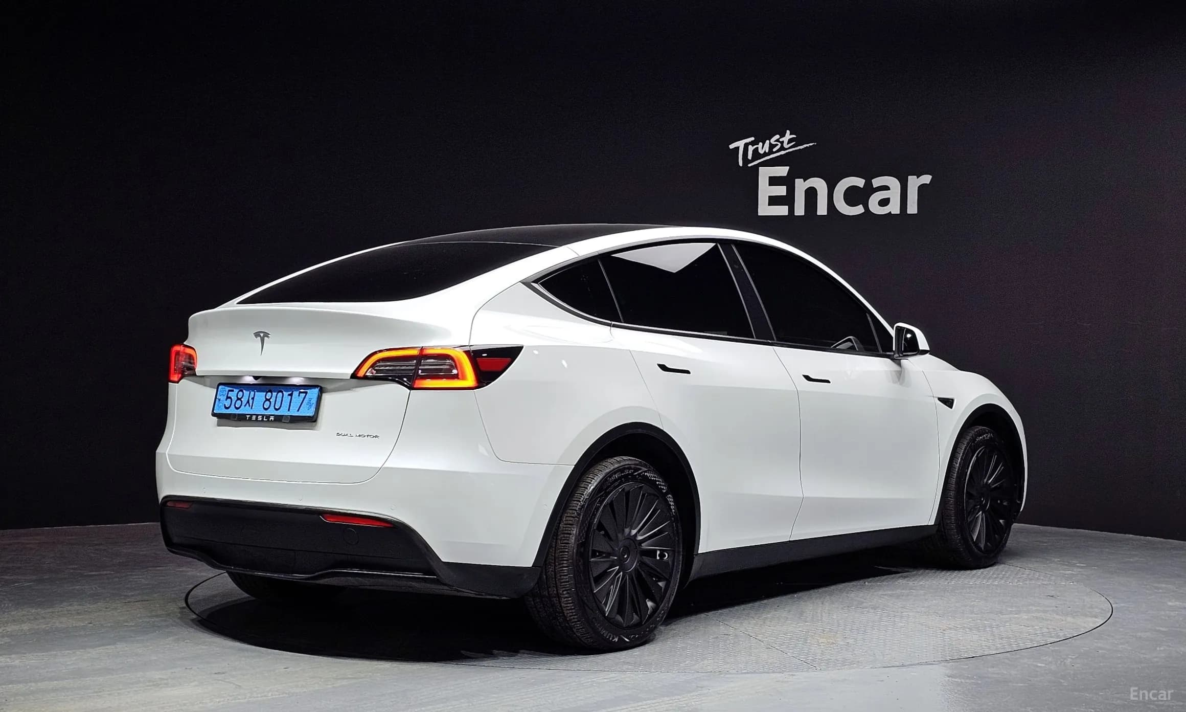 Model Y