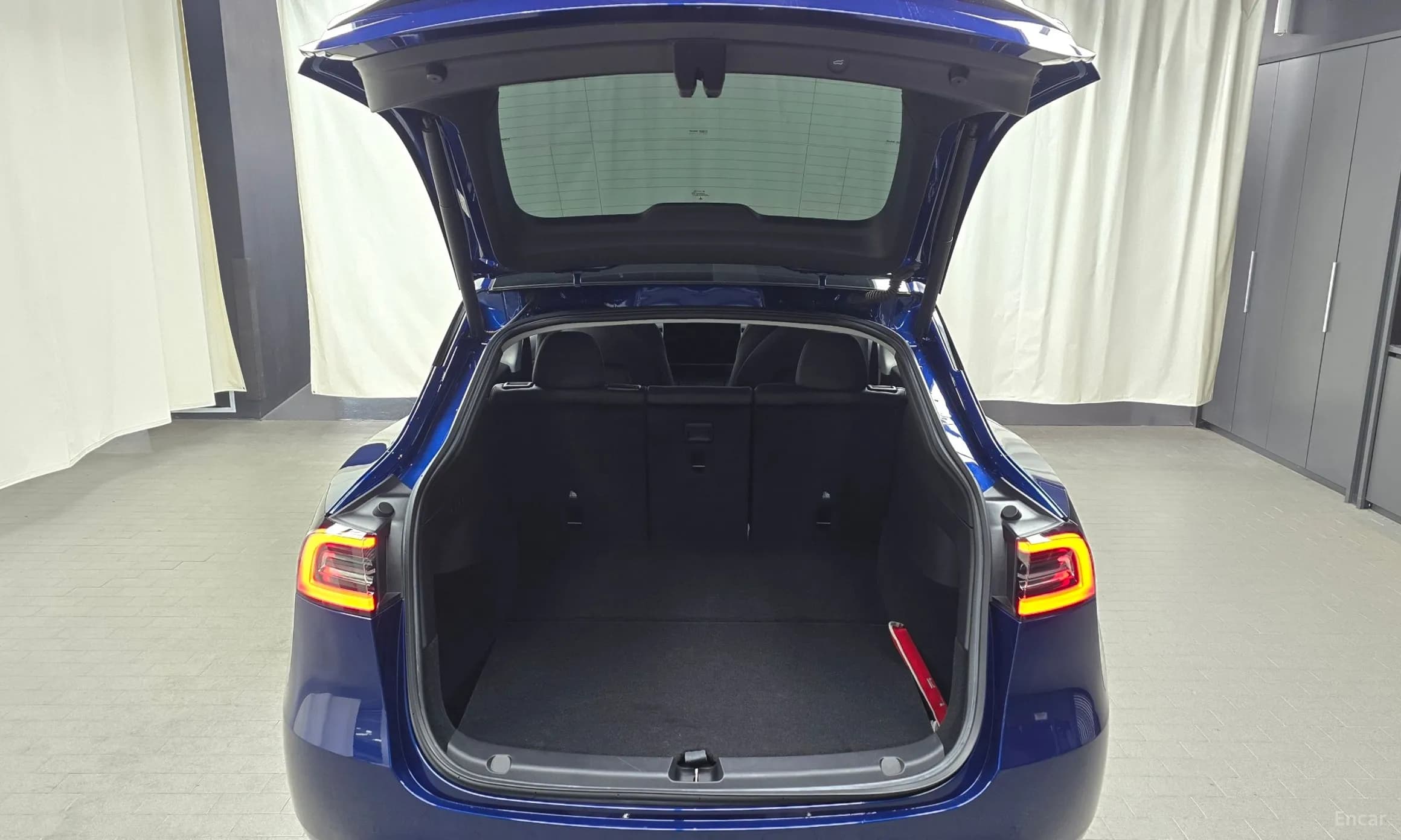 Model Y