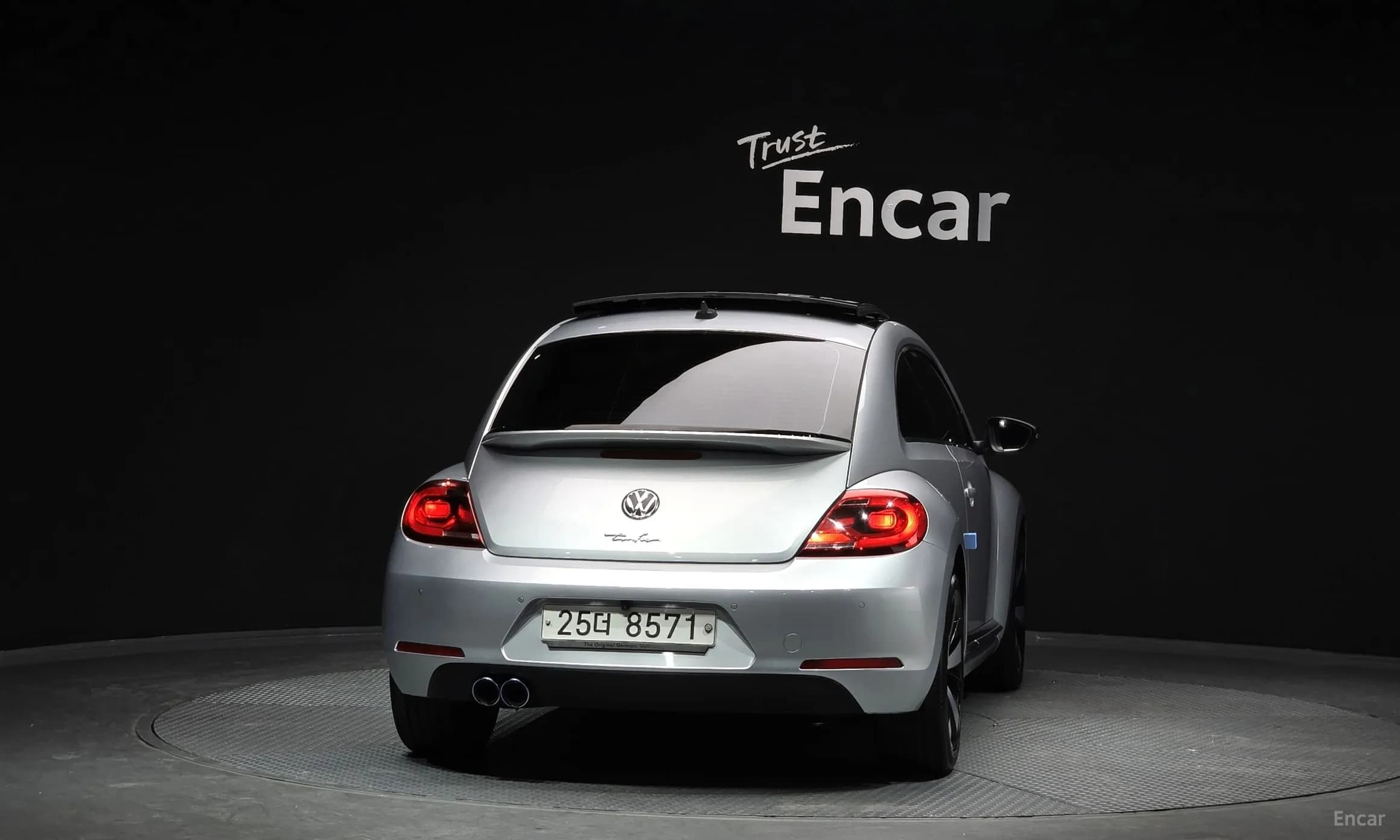 The Beetle