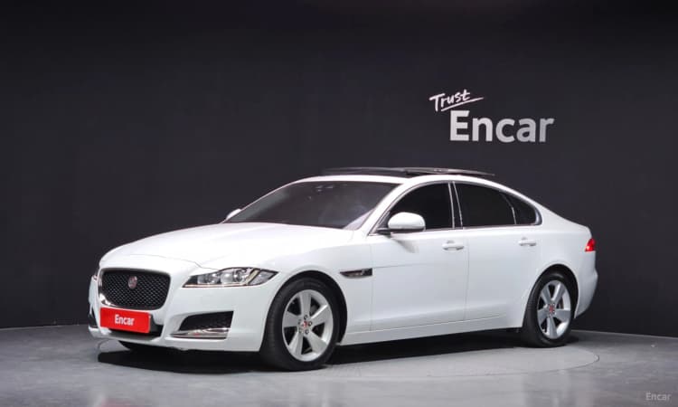 XF (x260)